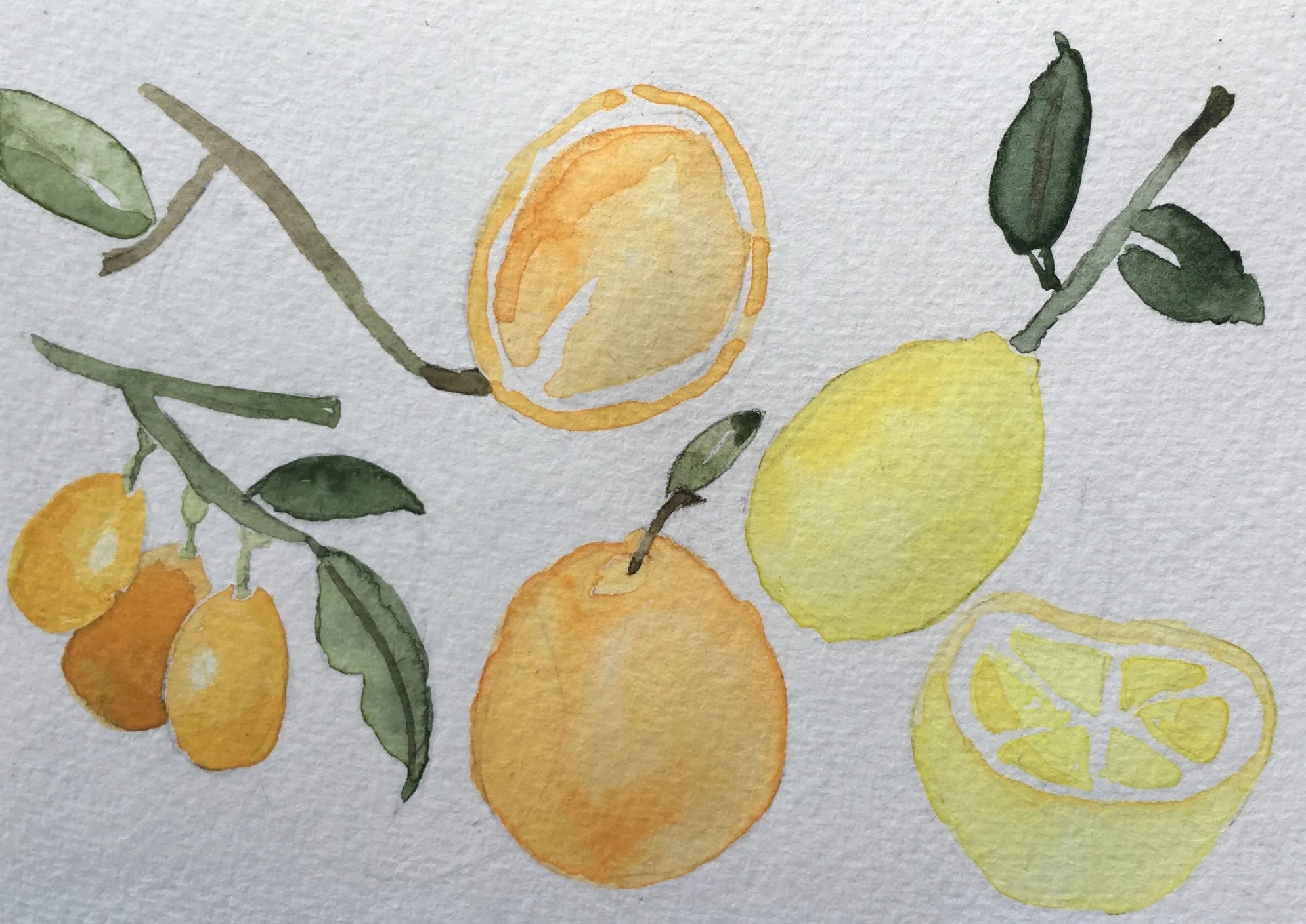 Citrus