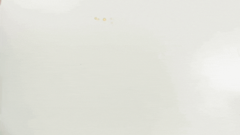 Untitled design.gif