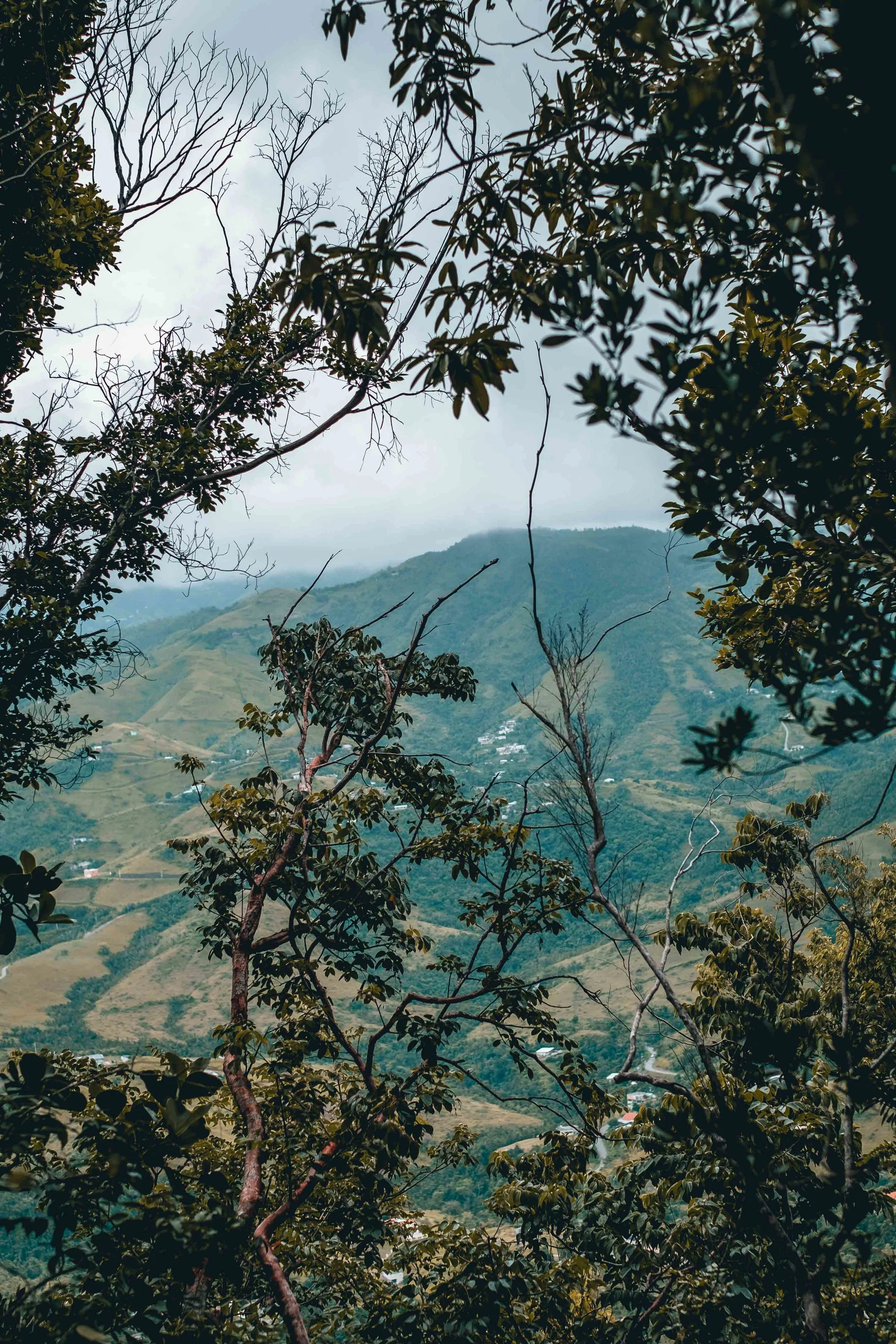 Climbing Puerto Rico - Jesse Echevarria