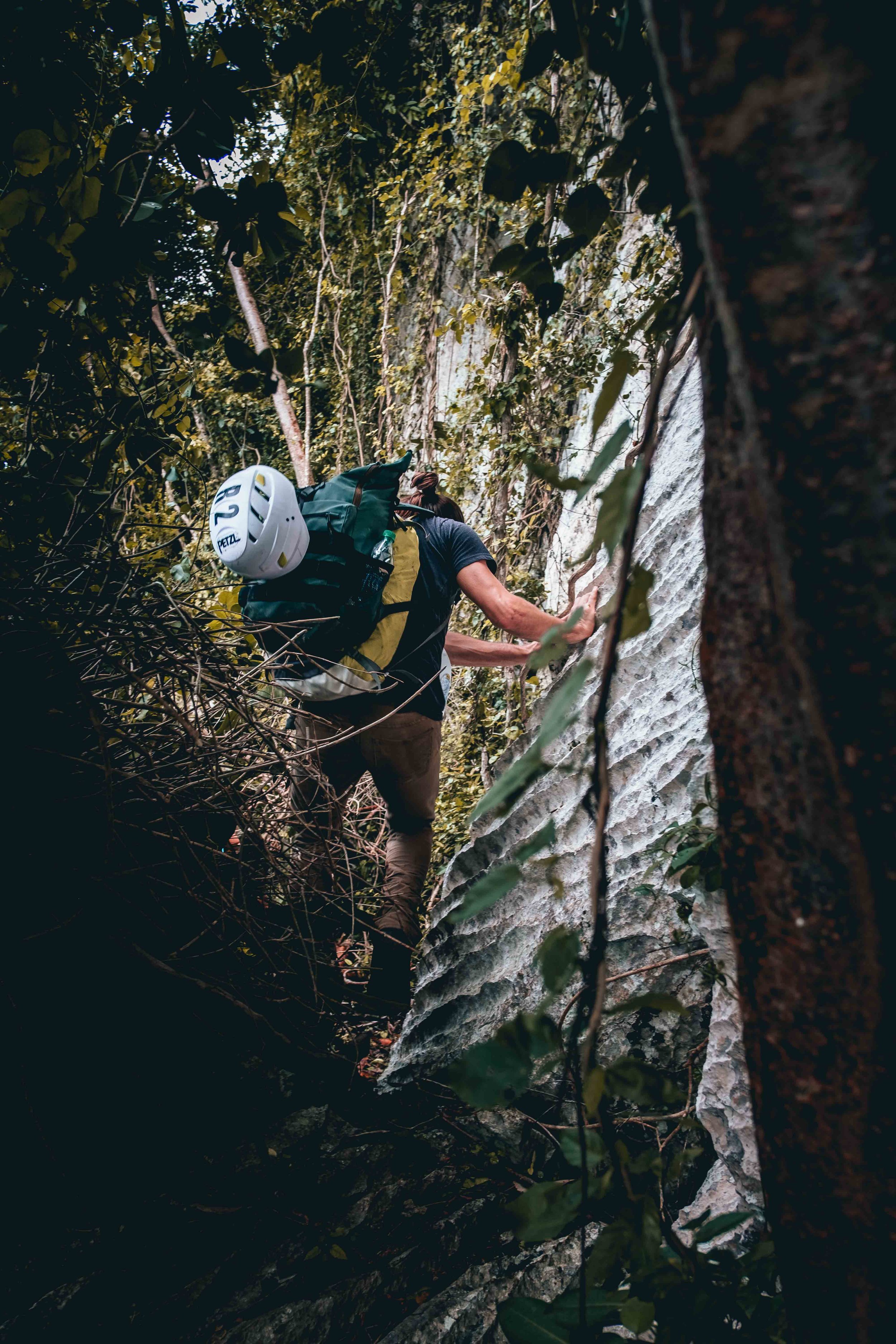 Climbing Puerto Rico - Jesse Echevarria