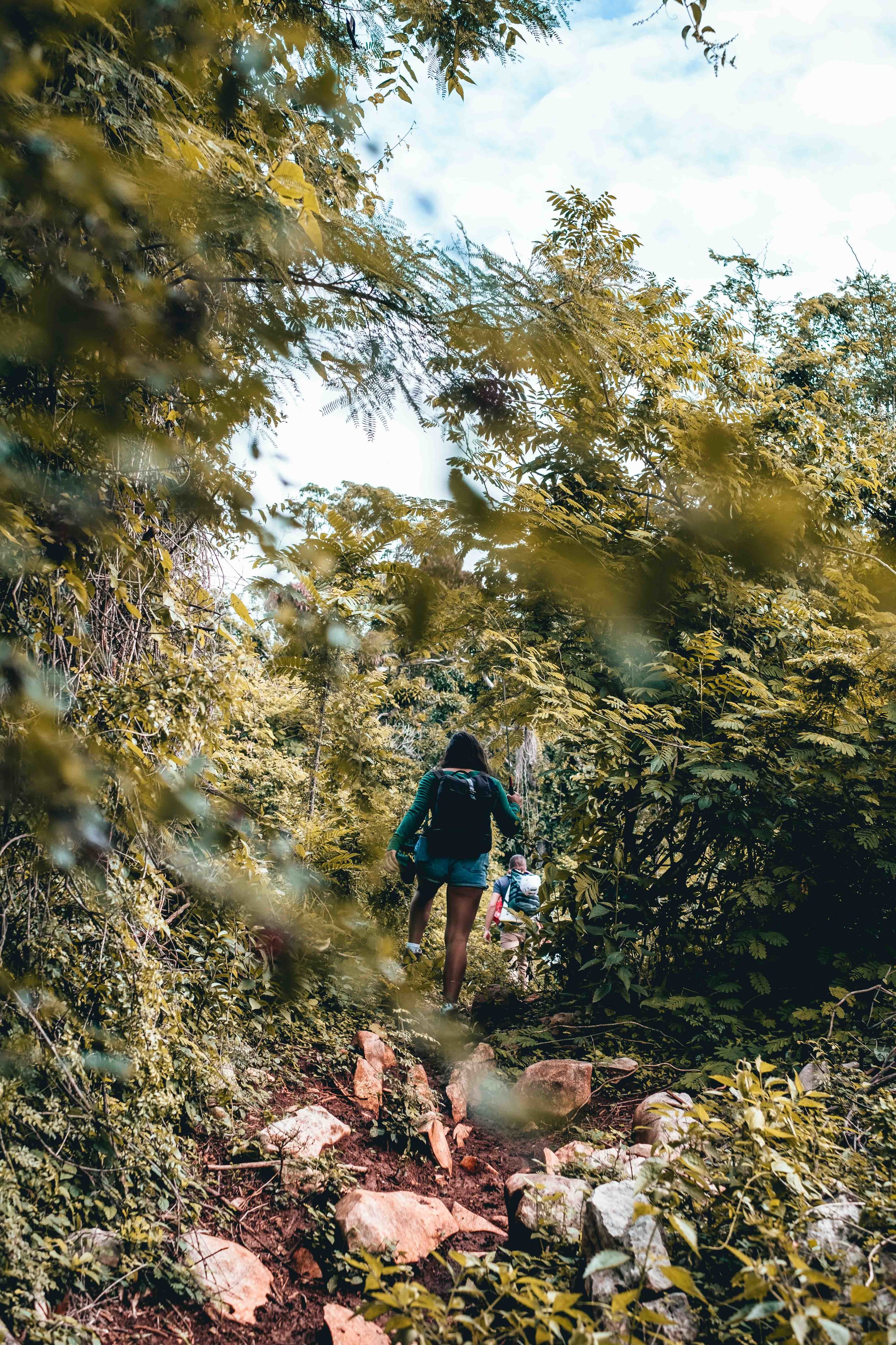 Climbing Puerto Rico - Jesse Echevarria
