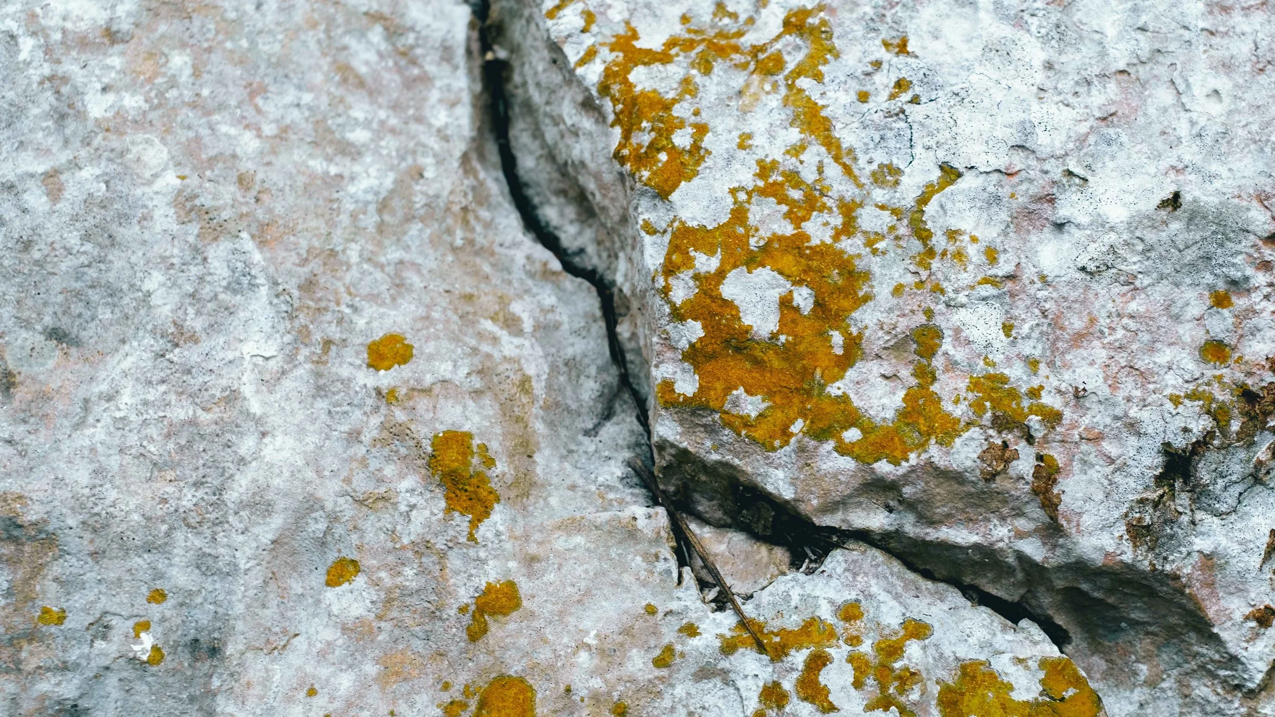 Climbing Puerto Rico - Jesse Echevarria