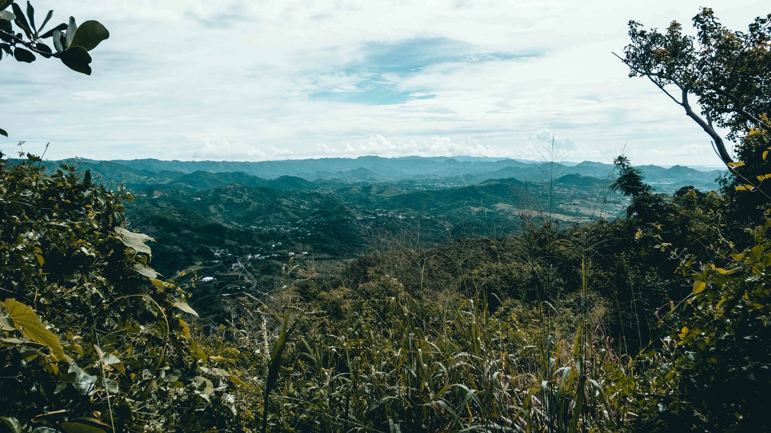 Climbing Puerto Rico - Jesse Echevarria