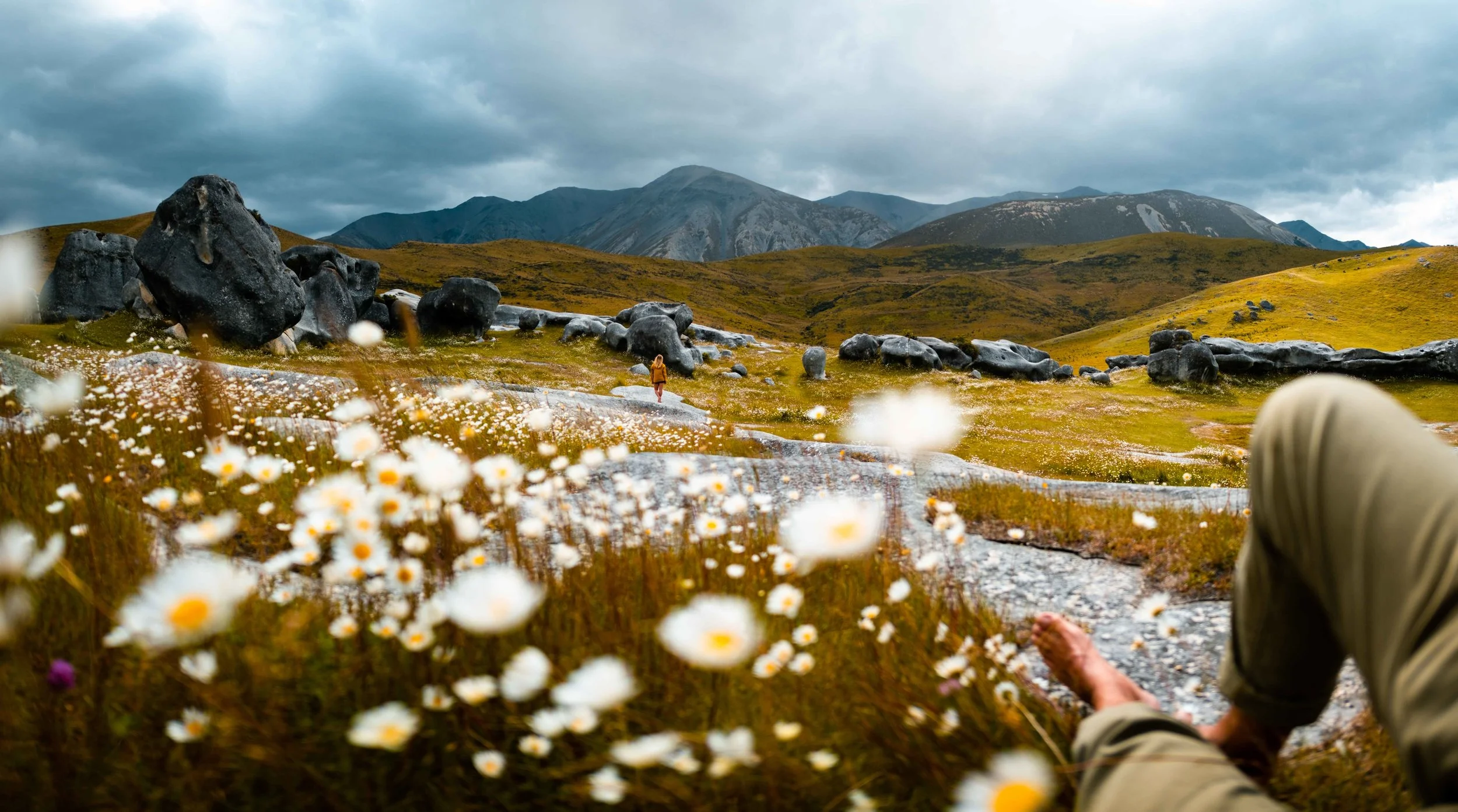 New Zealand — Jesse Echevarría