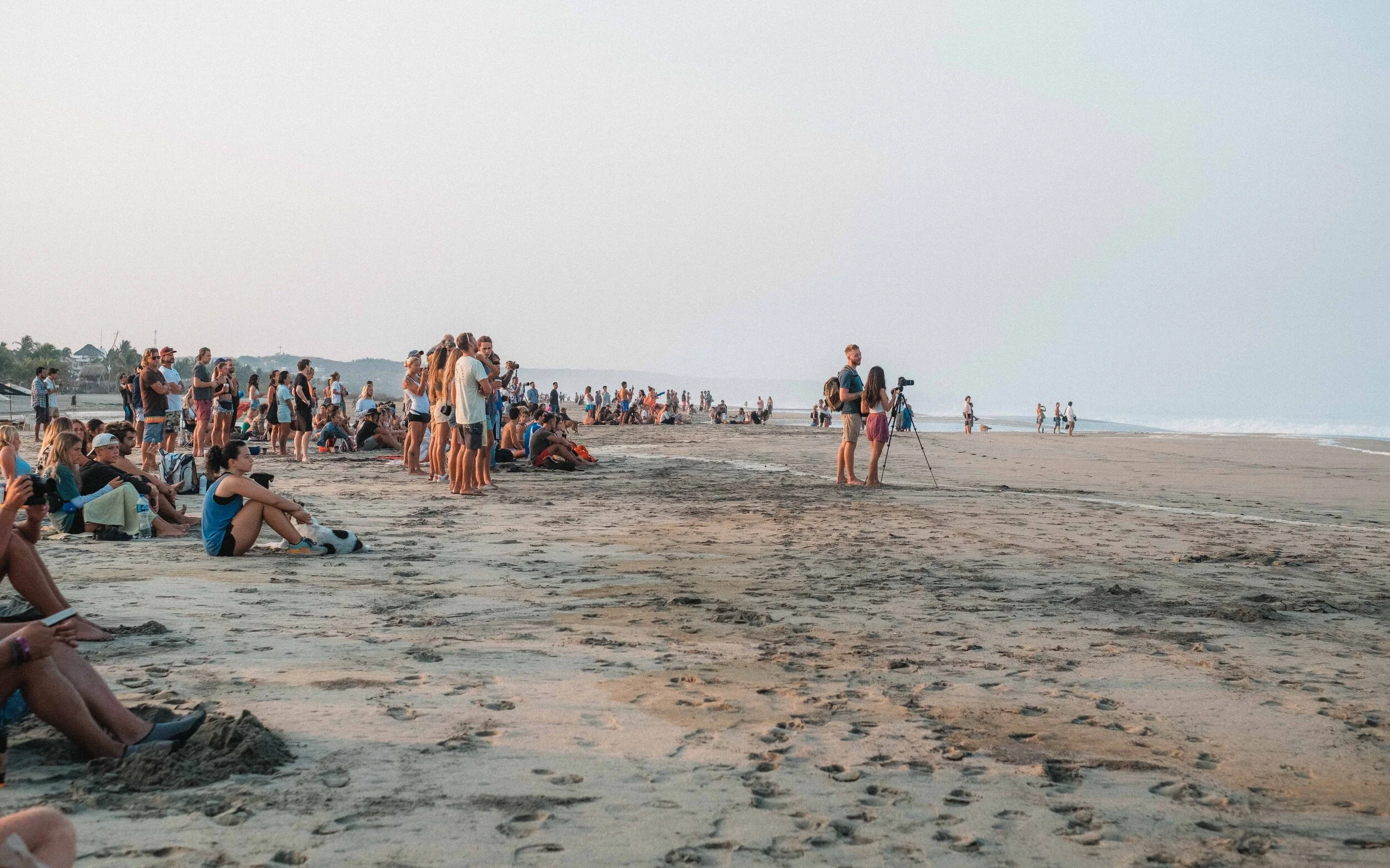 Jesse Echevarria Zicatela