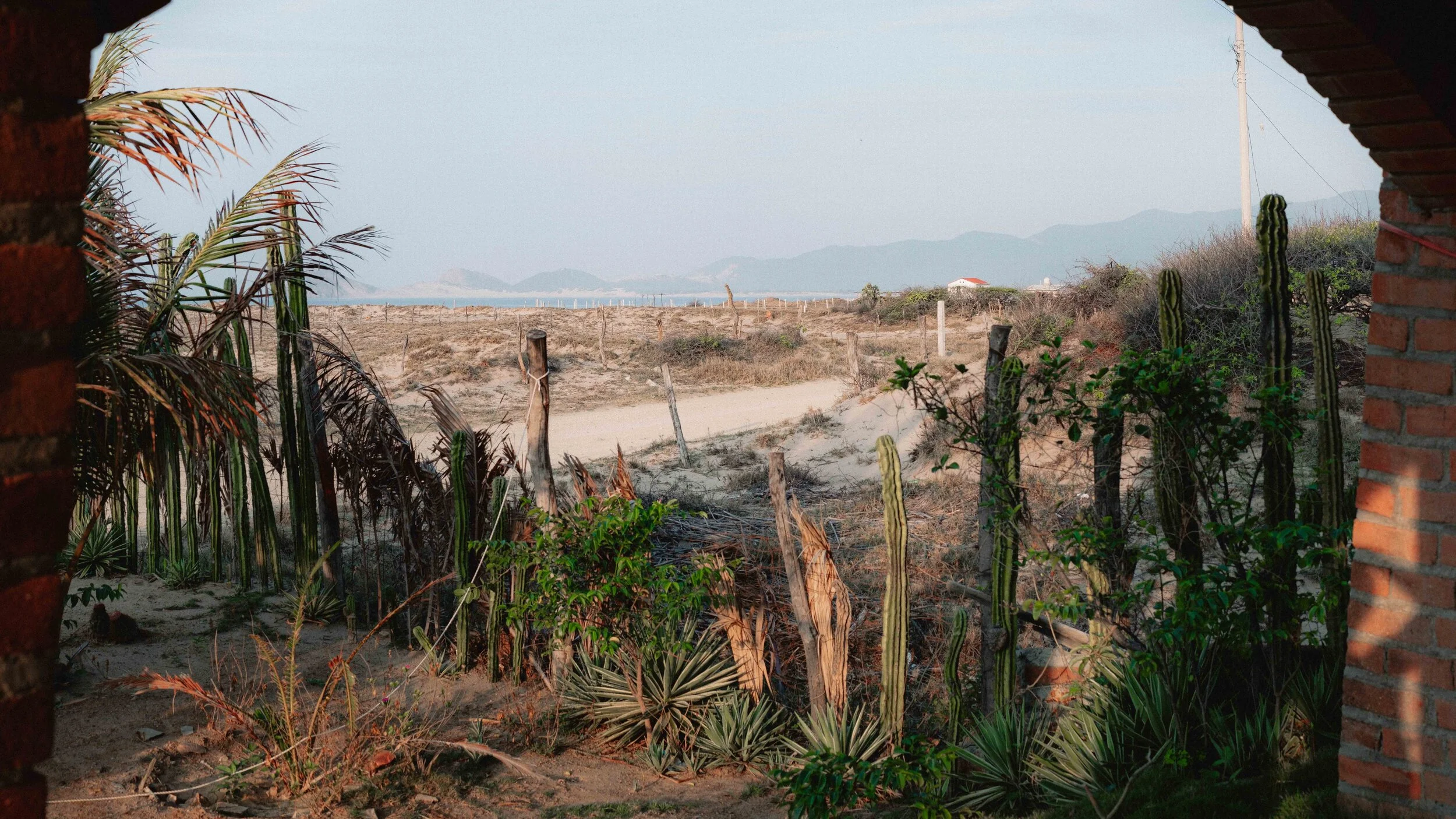 Jesse Echevarria Photography