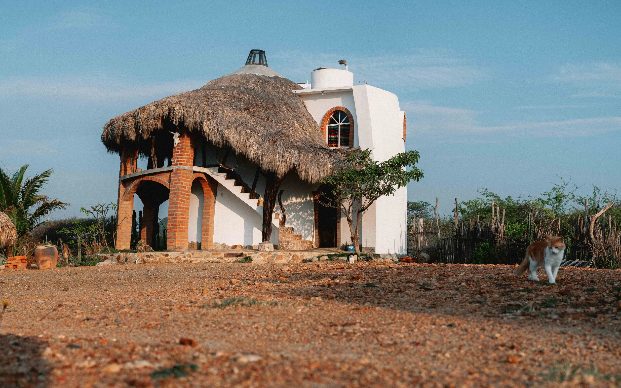 Jesse Echevarria Photography