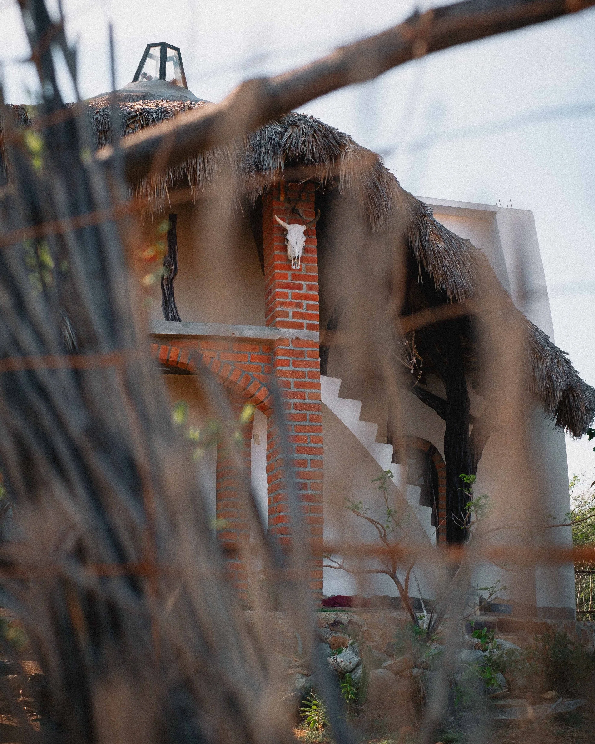 Jesse Echevarria Photography