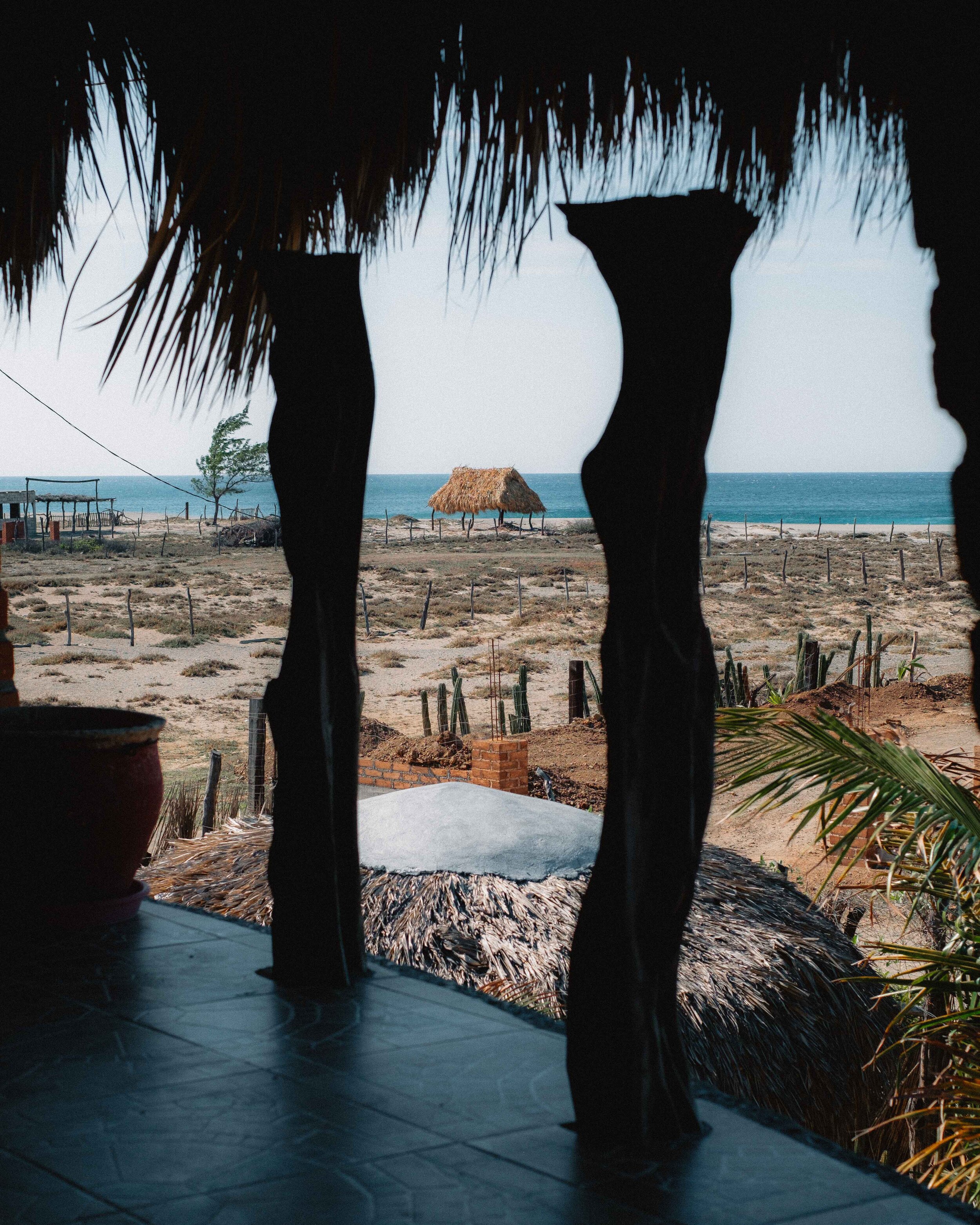 Jesse Echevarria Photography