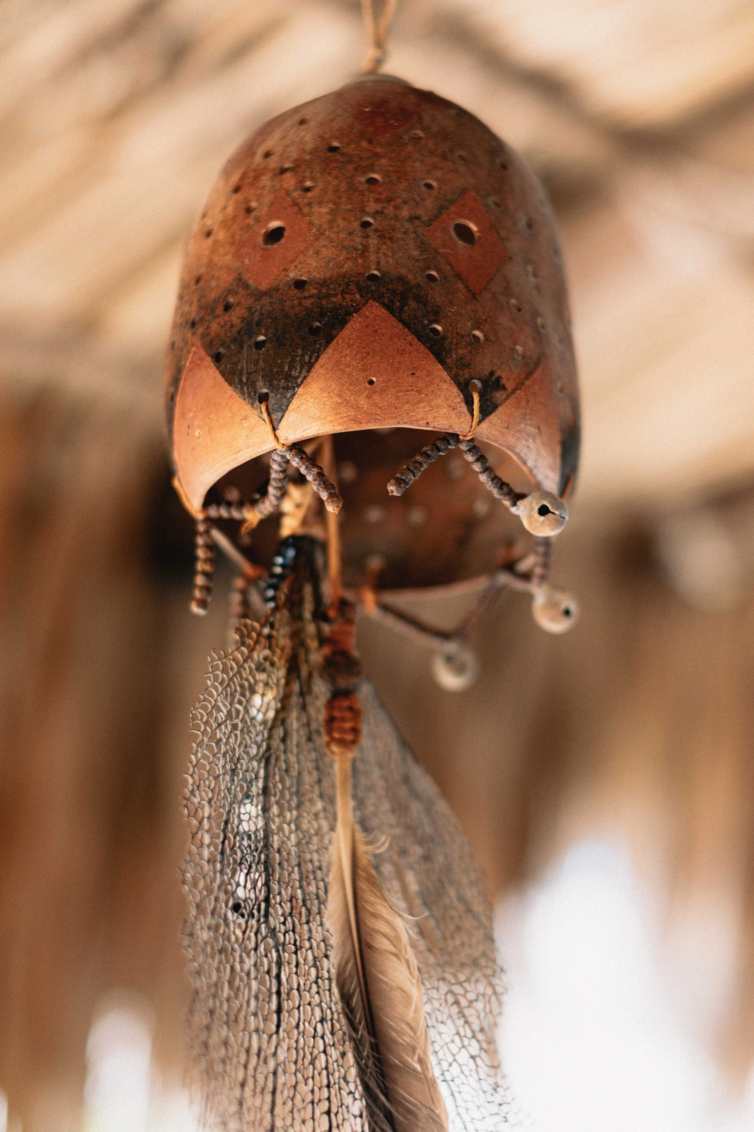 Jesse Echevarria Photography