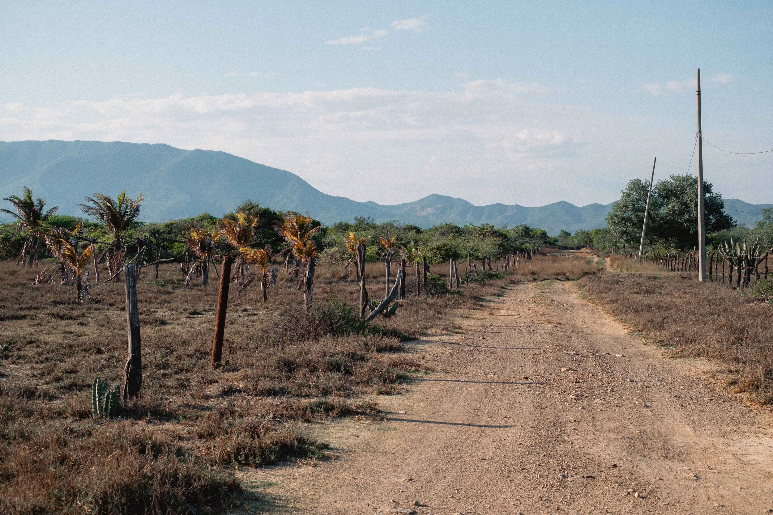 Jesse Echevarria Photography