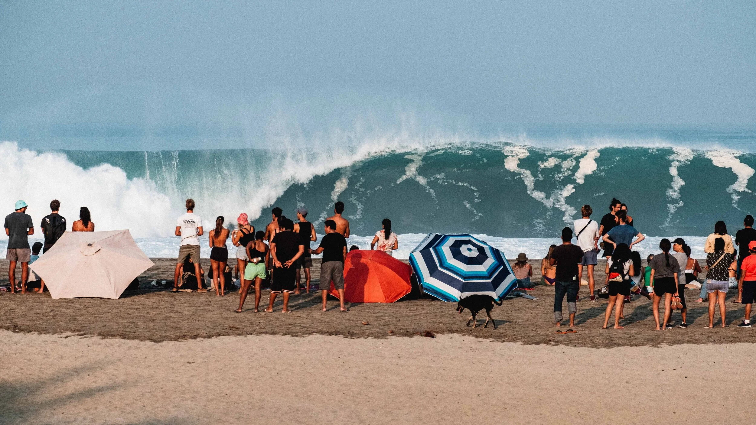 Jesse Echevarria Photography