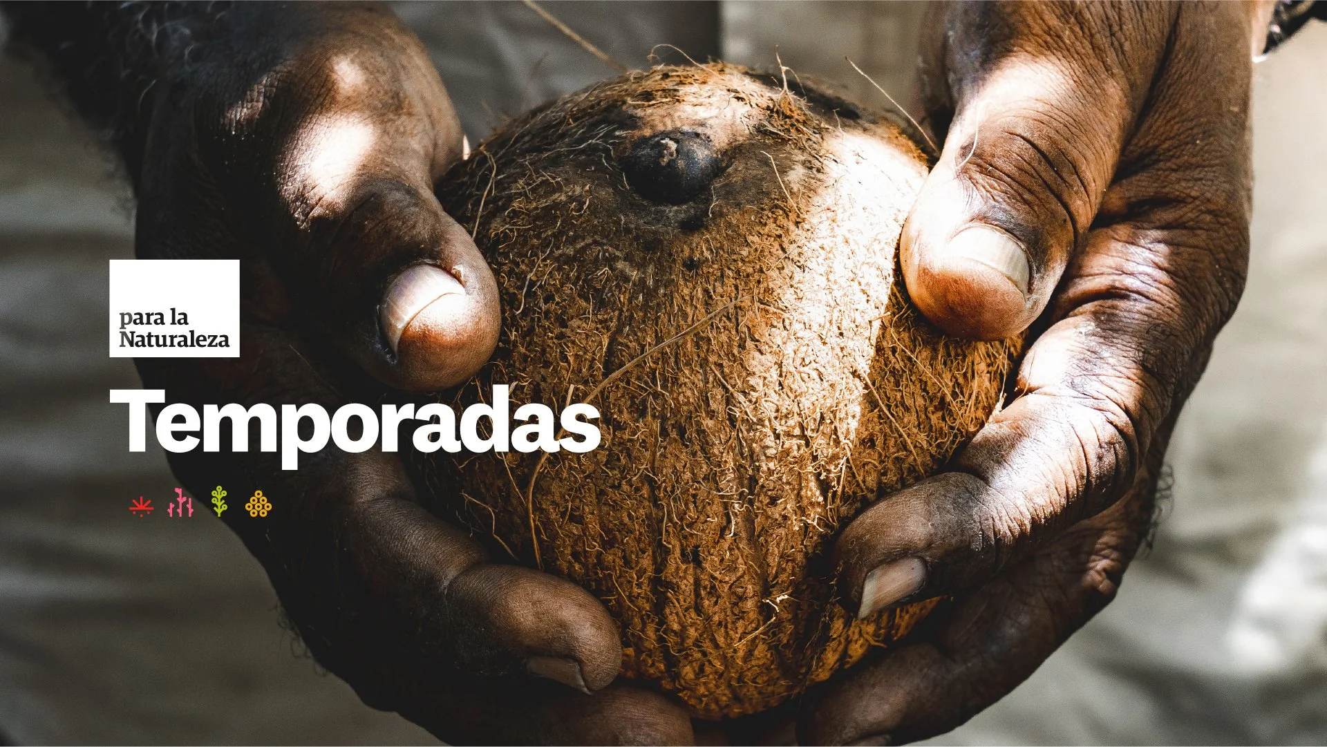 Website Thumbnail-100.jpg