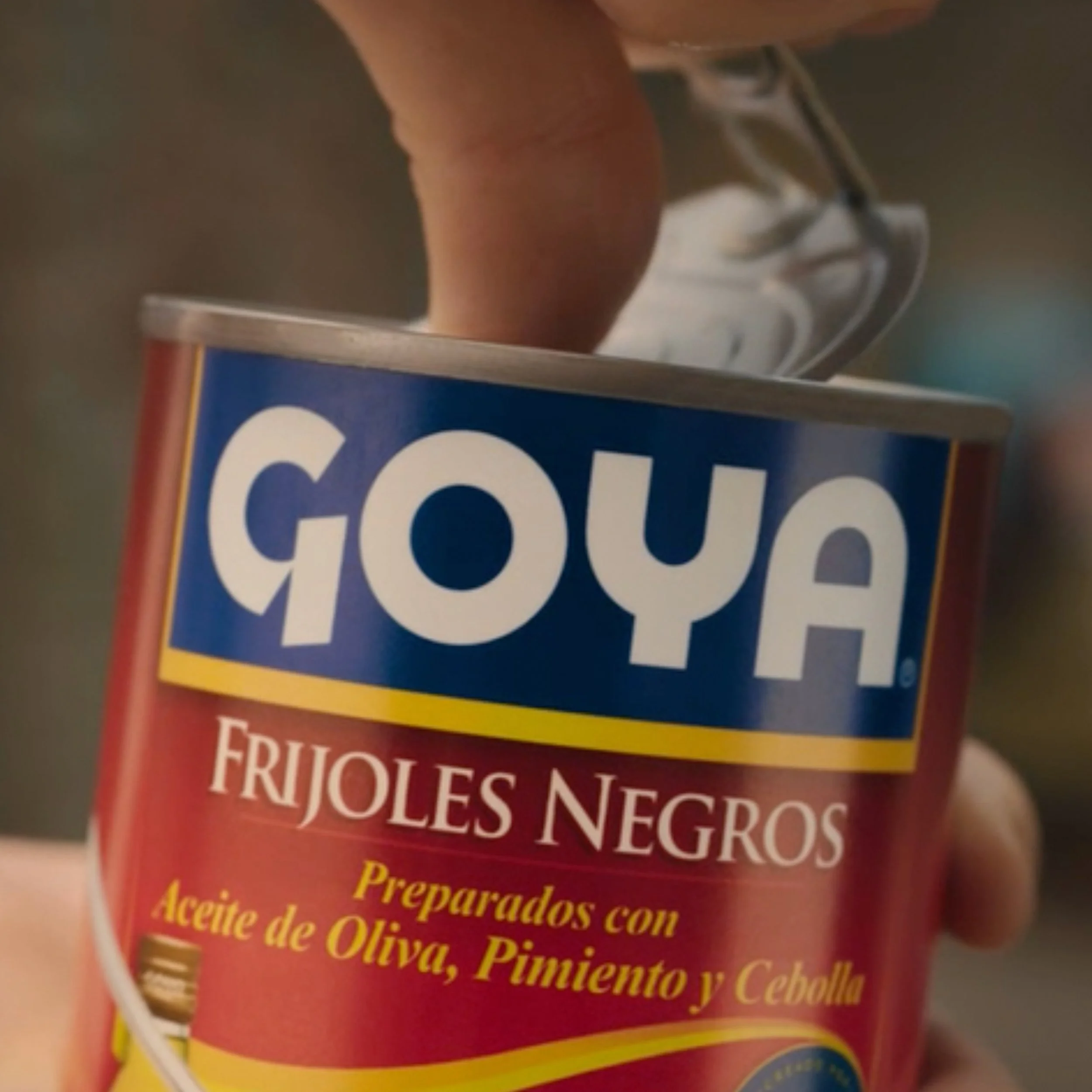Goya.jpg