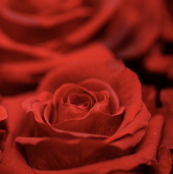 Alla hjärtans dag 14 februari