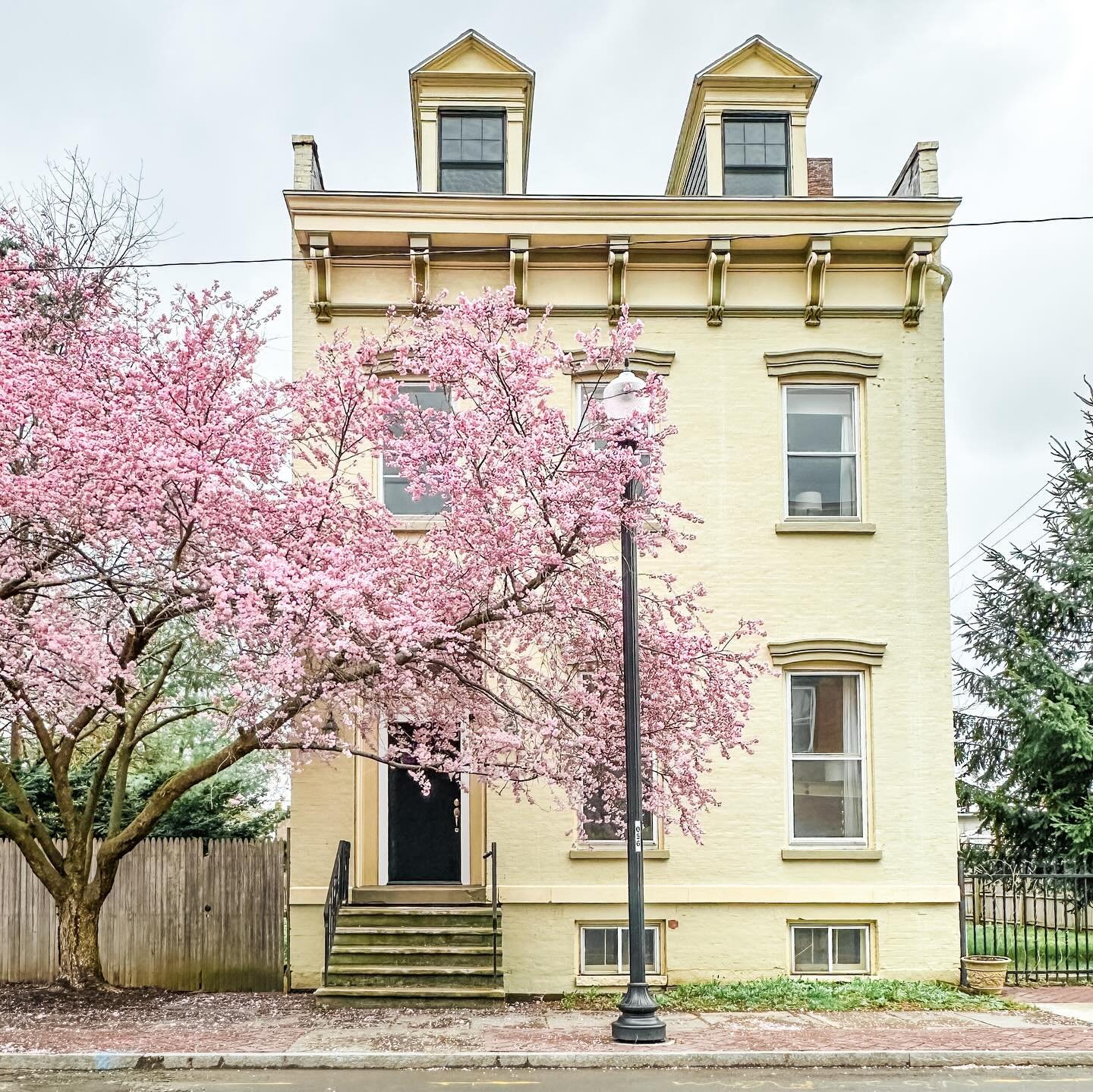 Pink and yellow may be my new favorite color combo. 🌸🏠
.
#househunting #troyny #troyrealestate #gablerrealty #historichouse #spring #cherryblossom #brownstone #ciyliving #housetour