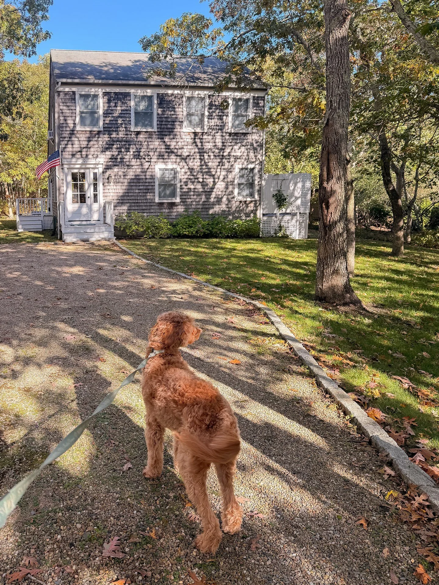 No one here was mad about today&rsquo;s weather. ☀️
.
#fallonthevineyard #islandliving #homesweethome