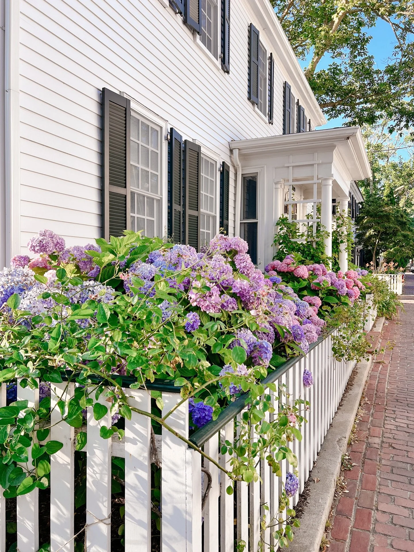 Happy first day of spring! The hydrangeas will be here in no time! 🌷🌻🌺🌸
#spring #hydrangeaseason #marthasvineyard #summerhouse #02539