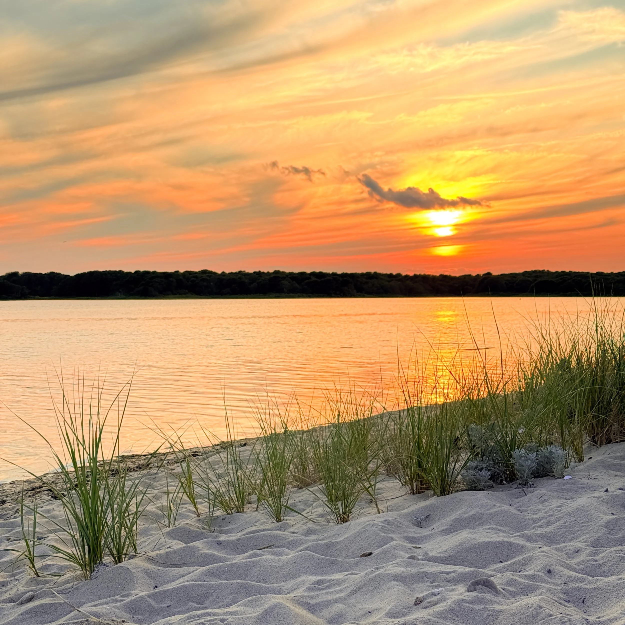 𝗡𝗢𝗧𝗘𝗦 𝗙𝗥𝗢𝗠 𝗔 𝗪𝗔𝗦𝗛𝗔𝗦𝗛𝗢𝗥𝗘 #𝟬𝟮
September on Martha's Vineyard may be one of our best kept secrets. I call it our "𝙇𝙤𝙘𝙖𝙡'𝙨 𝙎𝙪𝙢𝙢𝙚𝙧". 💙

The crowds begin to thin, the beaches get quieter, and everything seems to