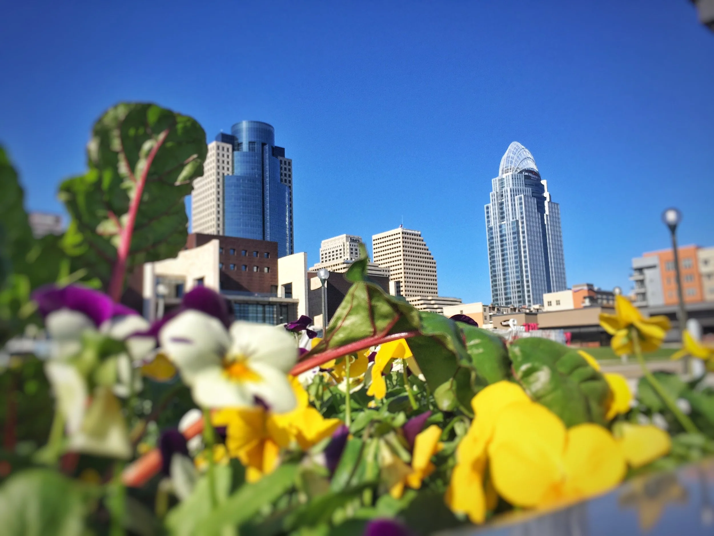 cincinnati1.jpg