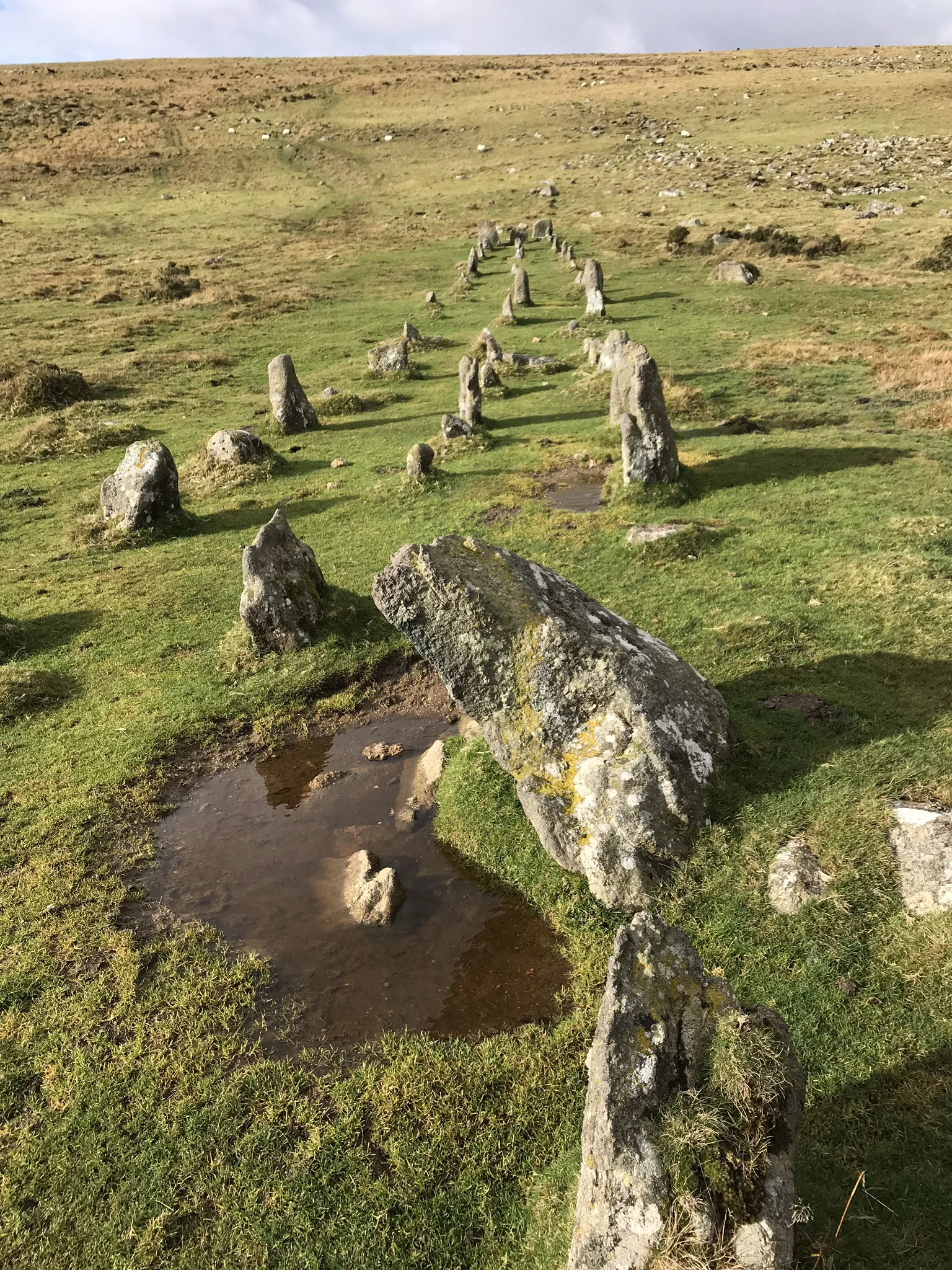 A walk from Throwleigh up to the stone row at Cosdon Hill