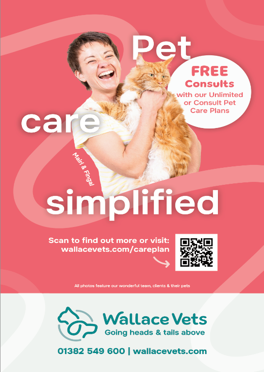 Wallace Vets.png