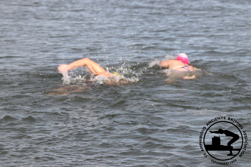 IMG_8787.jpg