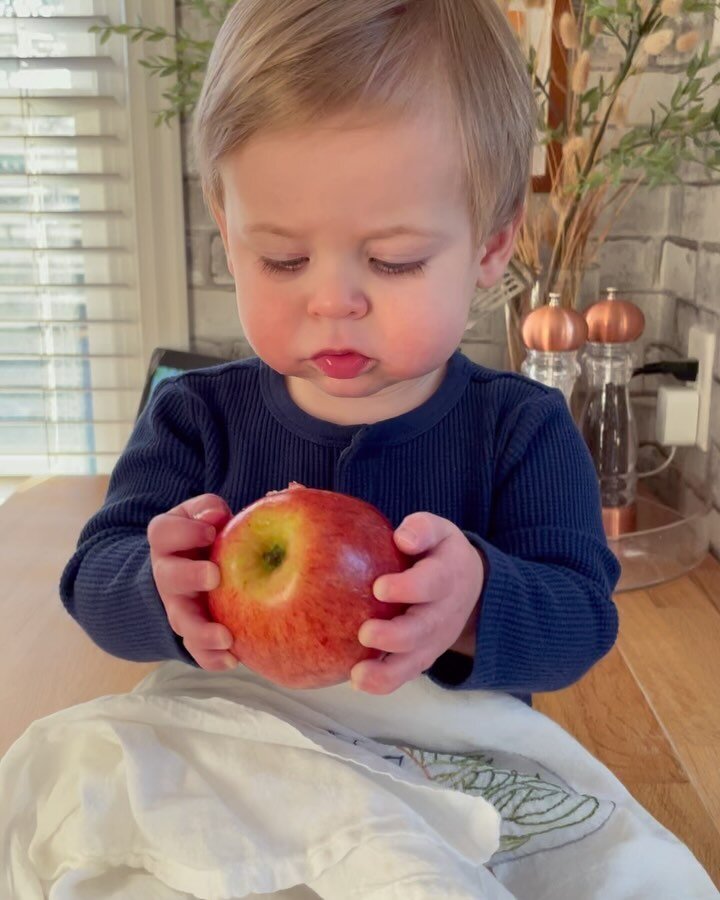 Something about Cash eating his first apple really just got me 🥹