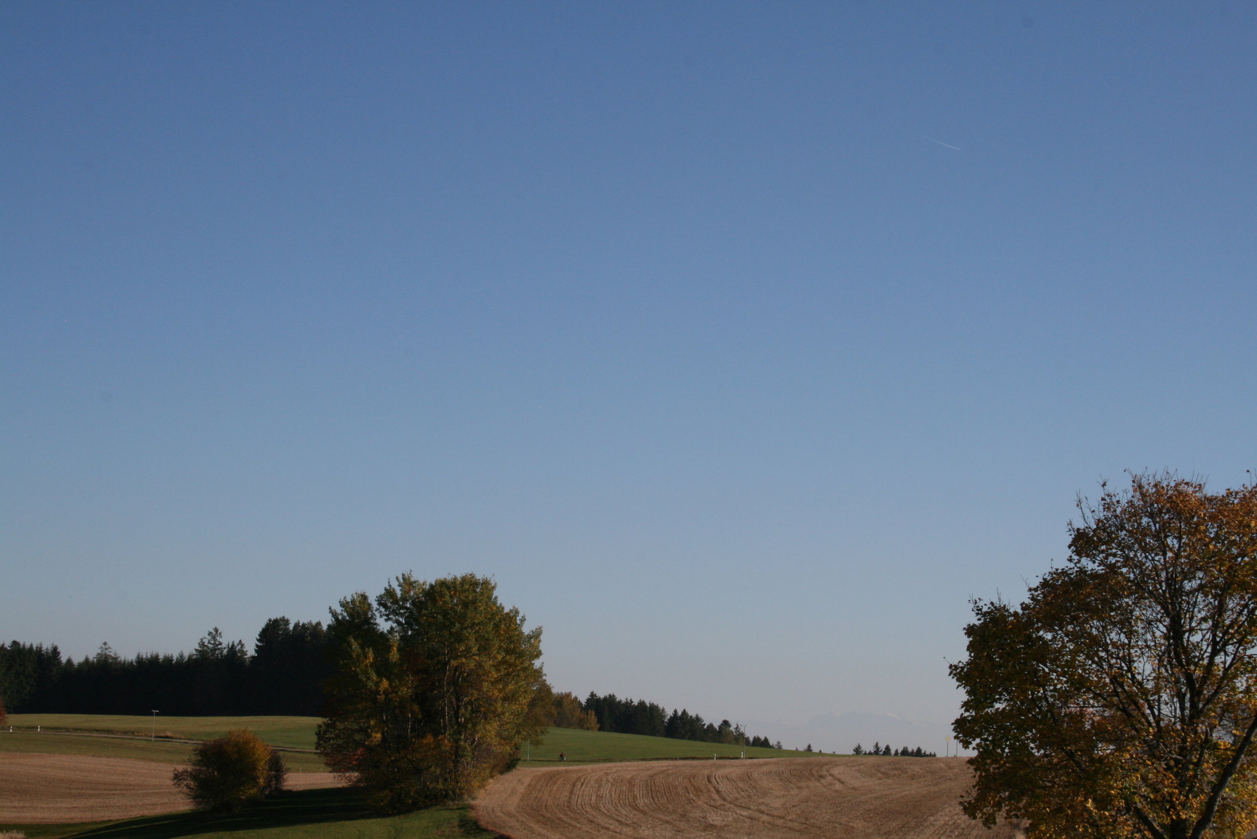 IMG_8461.JPG