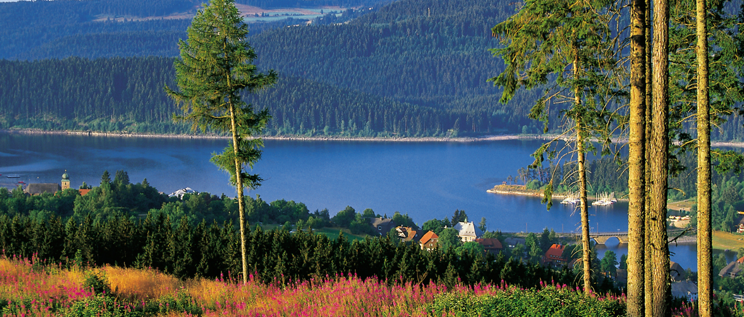 Schluchsee