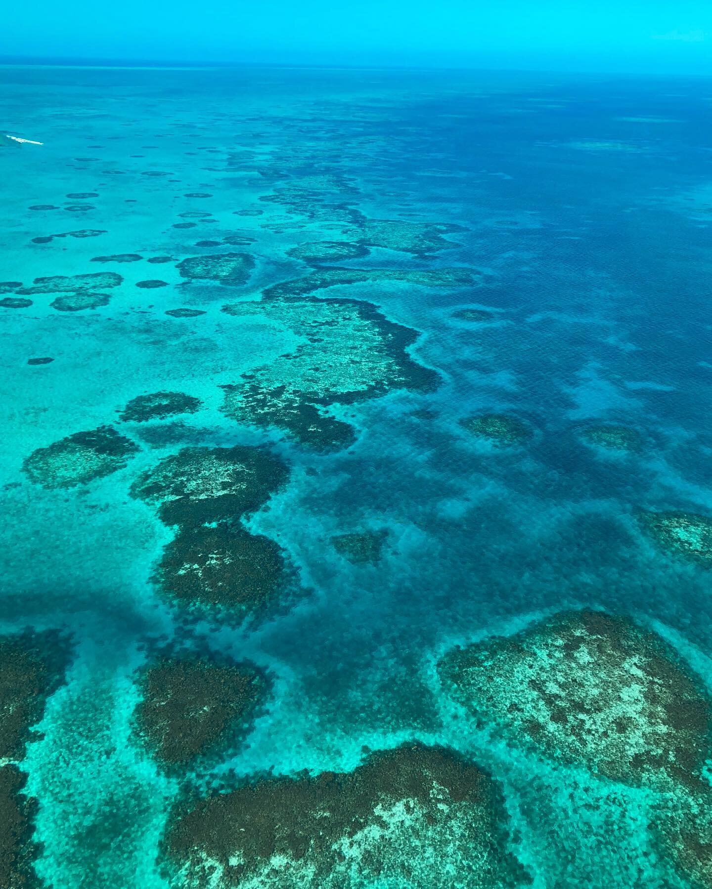 Belize Barrier Reef  roeming belize travel agency.jpg