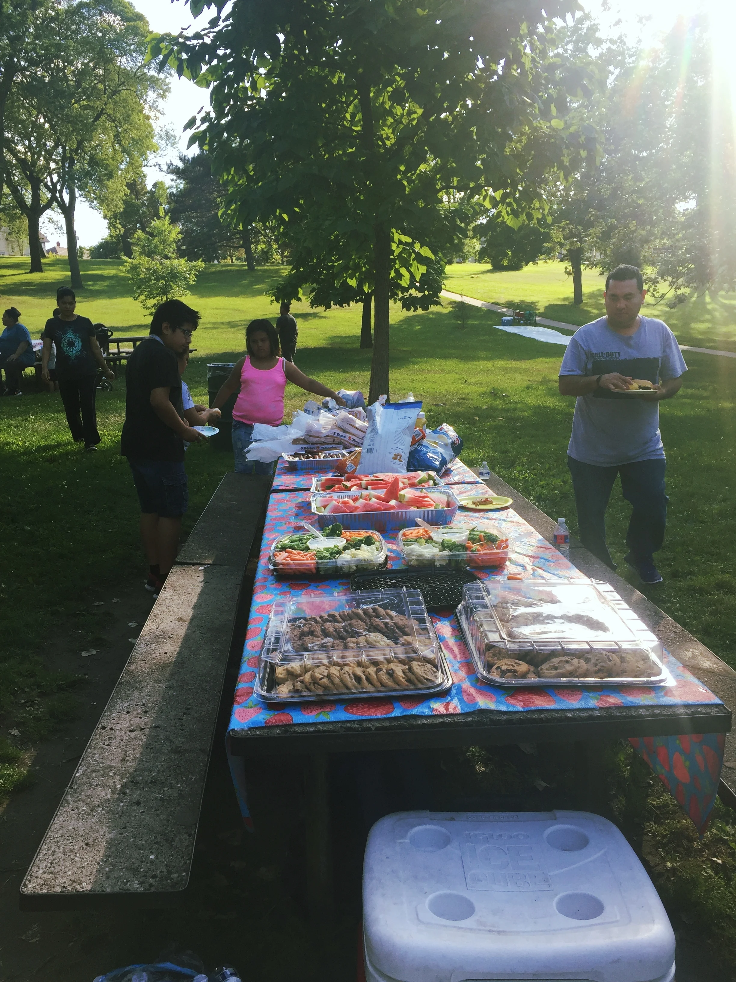 commuunity picnic buffet.jpg