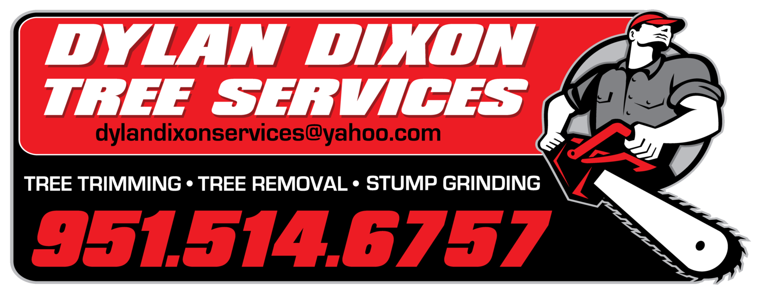 Dylan Dixon Tree Services