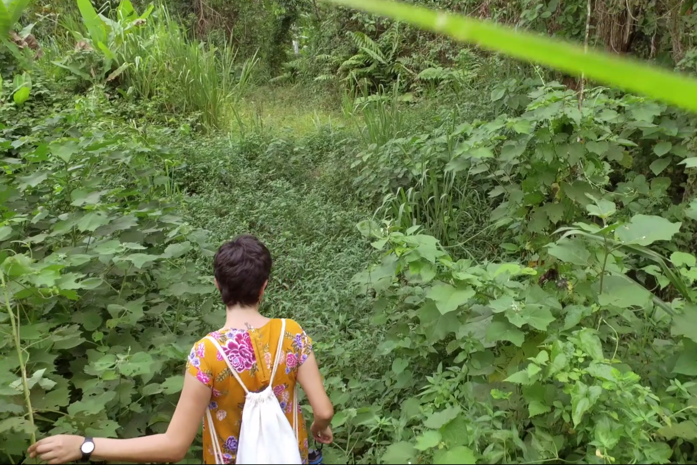 Taller Remoto: Rosaura Rodríguez