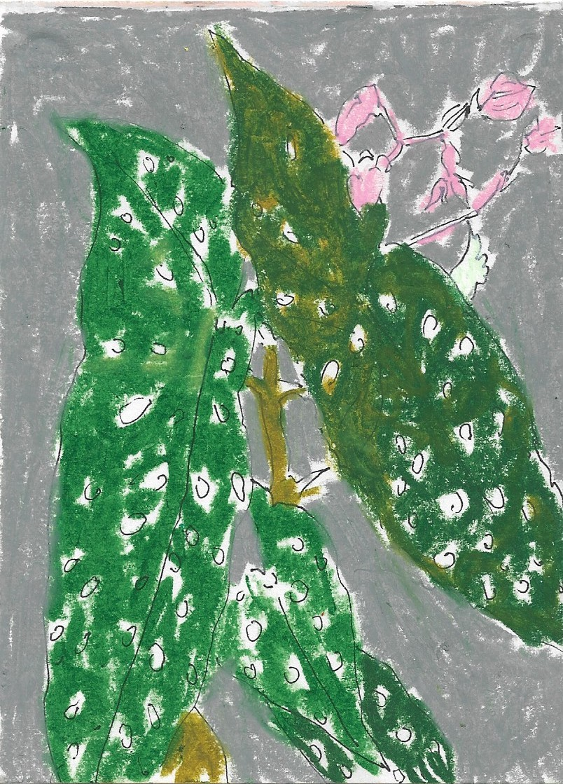 valerie-may-e40hibition.webp
