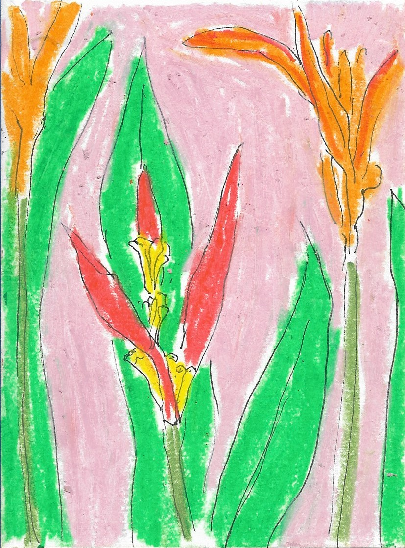 Heliconia (15 de diciembre) by Valerie Sosa
