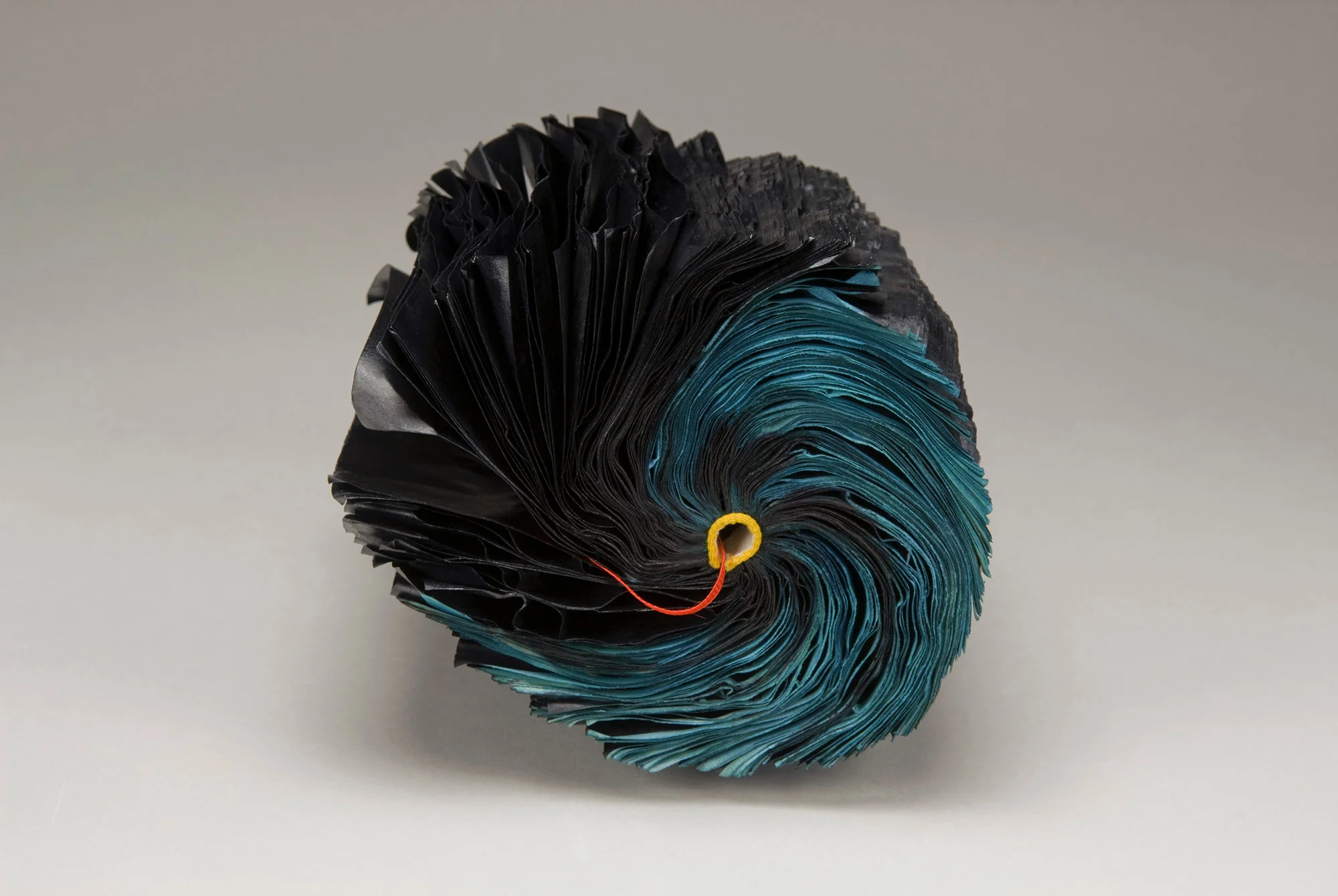 Peacock 2007