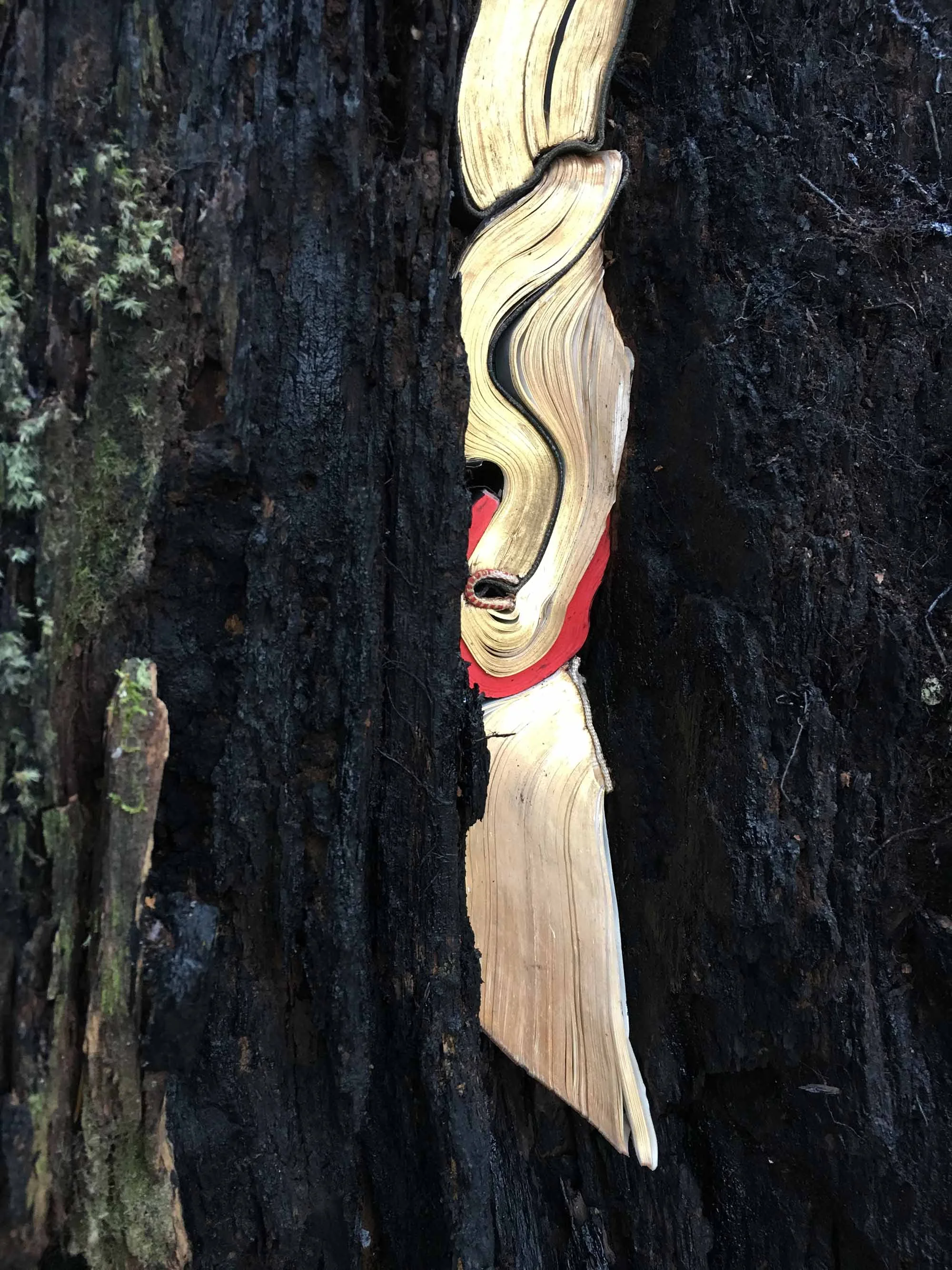 Trail Marker Detail 2017