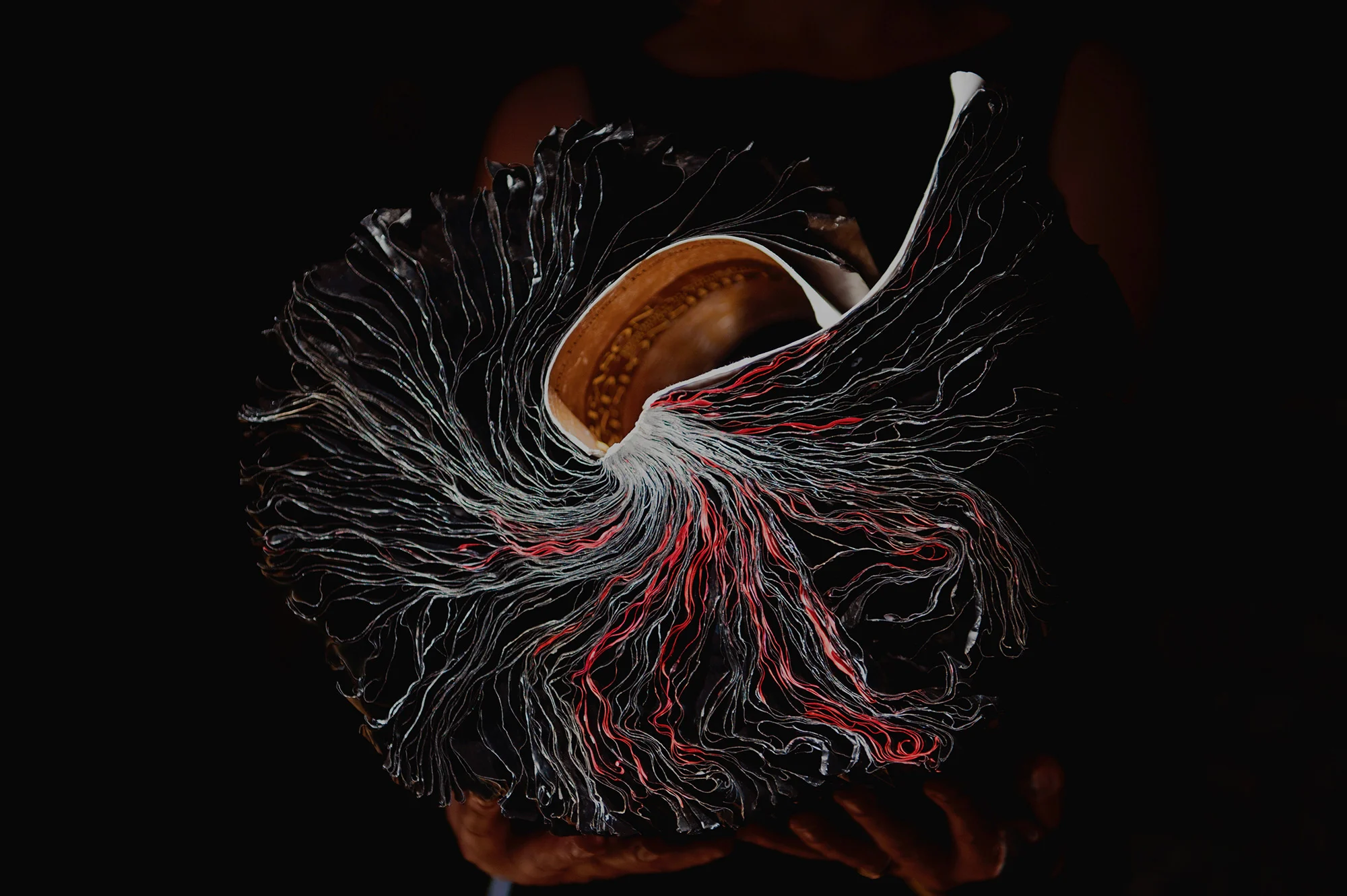 Nous [there's no why here] 2014