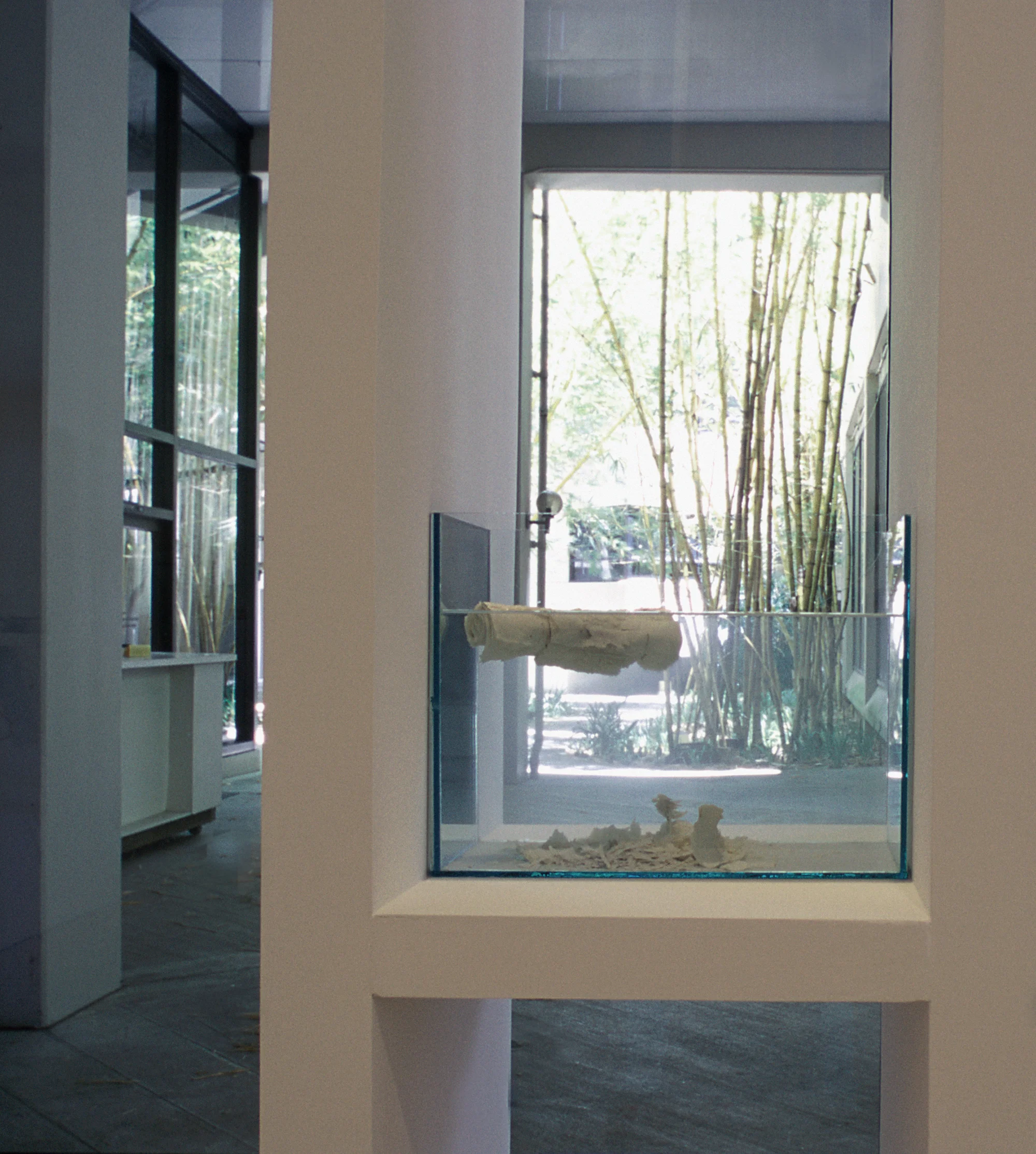 Absolute Depth [Ex libris]