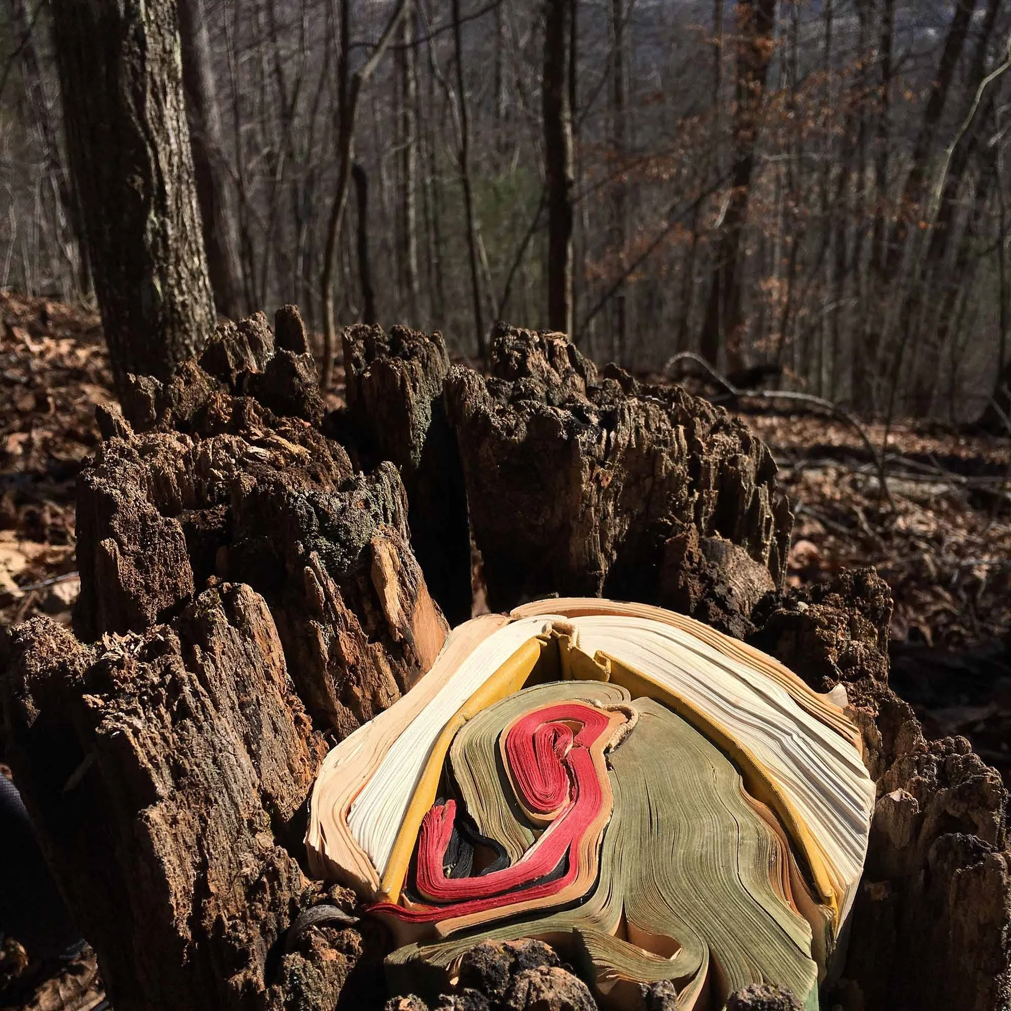 Penland WHORL 2017