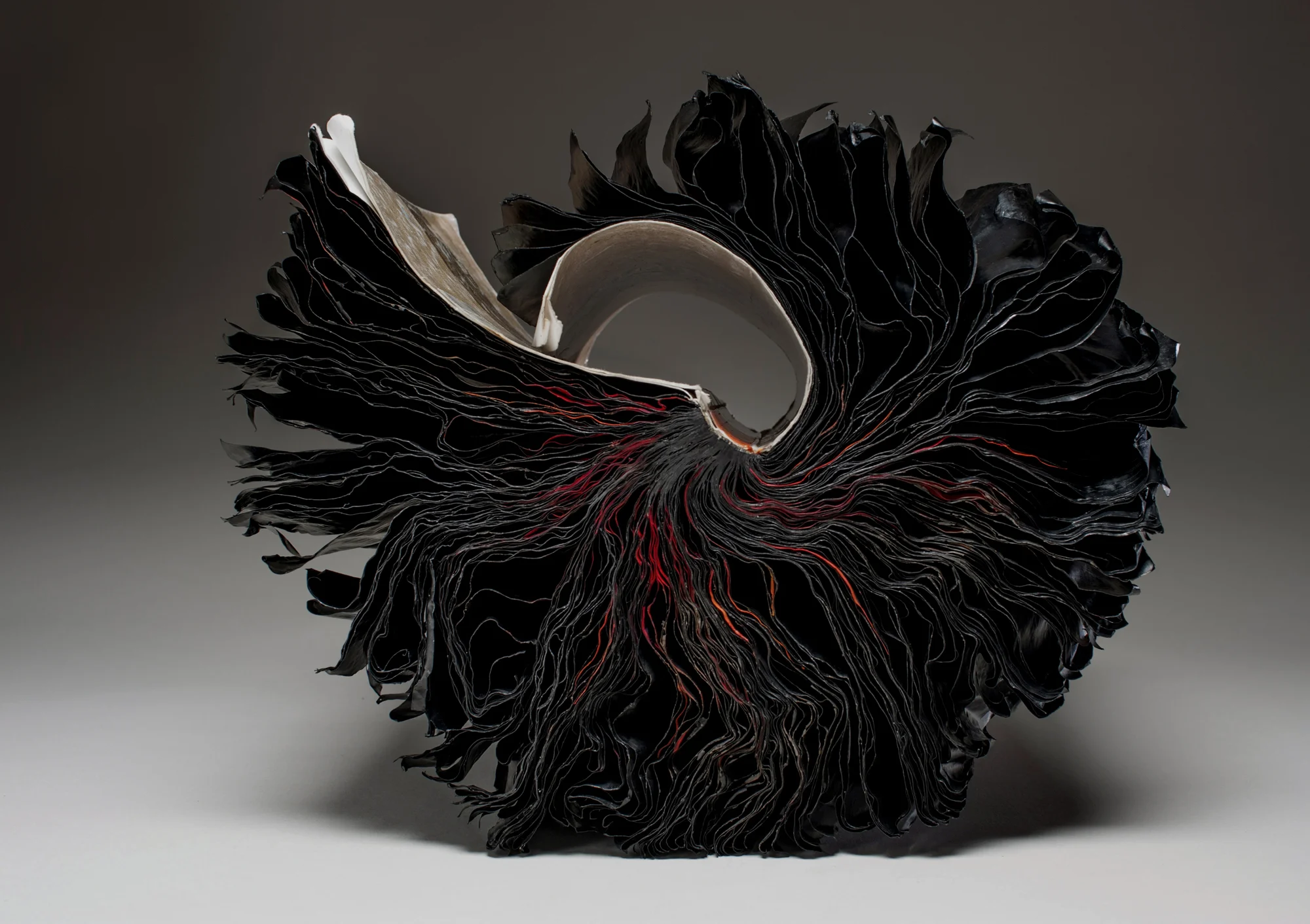 Nous [there's no why here] 2014