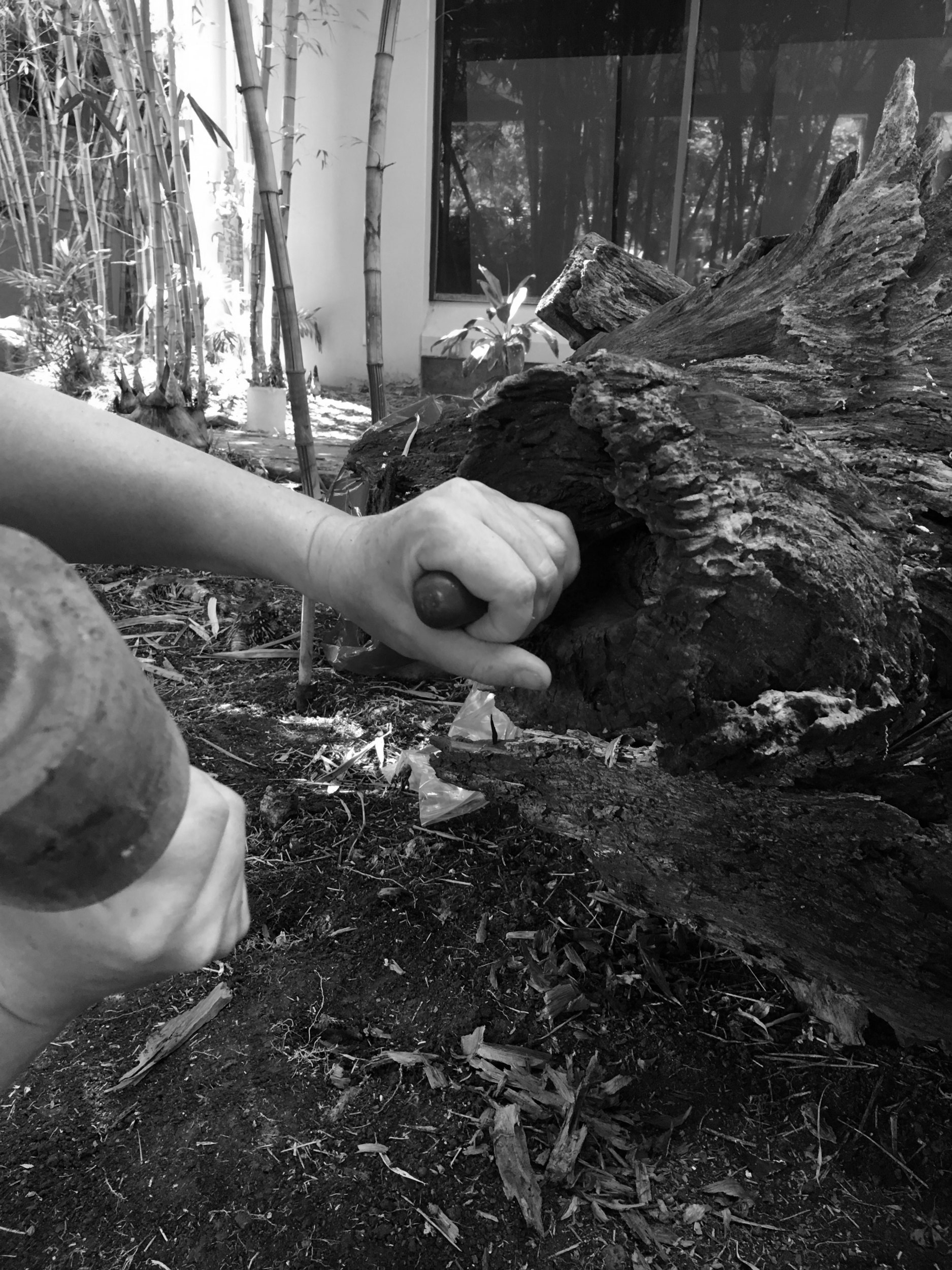 Working on "Whorl" at the University of Hawaii at Manoa