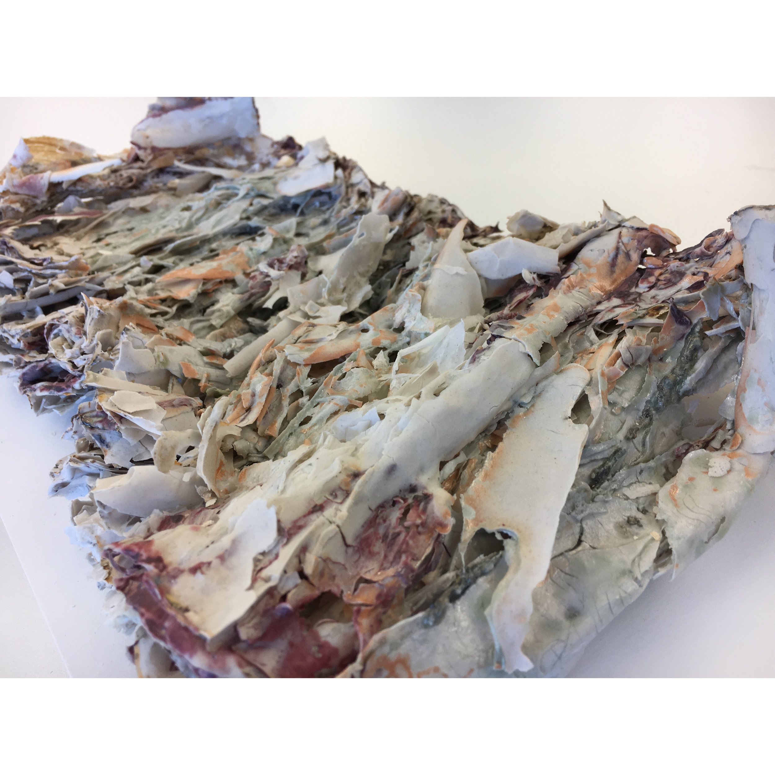 Fired Landscape Book 2017