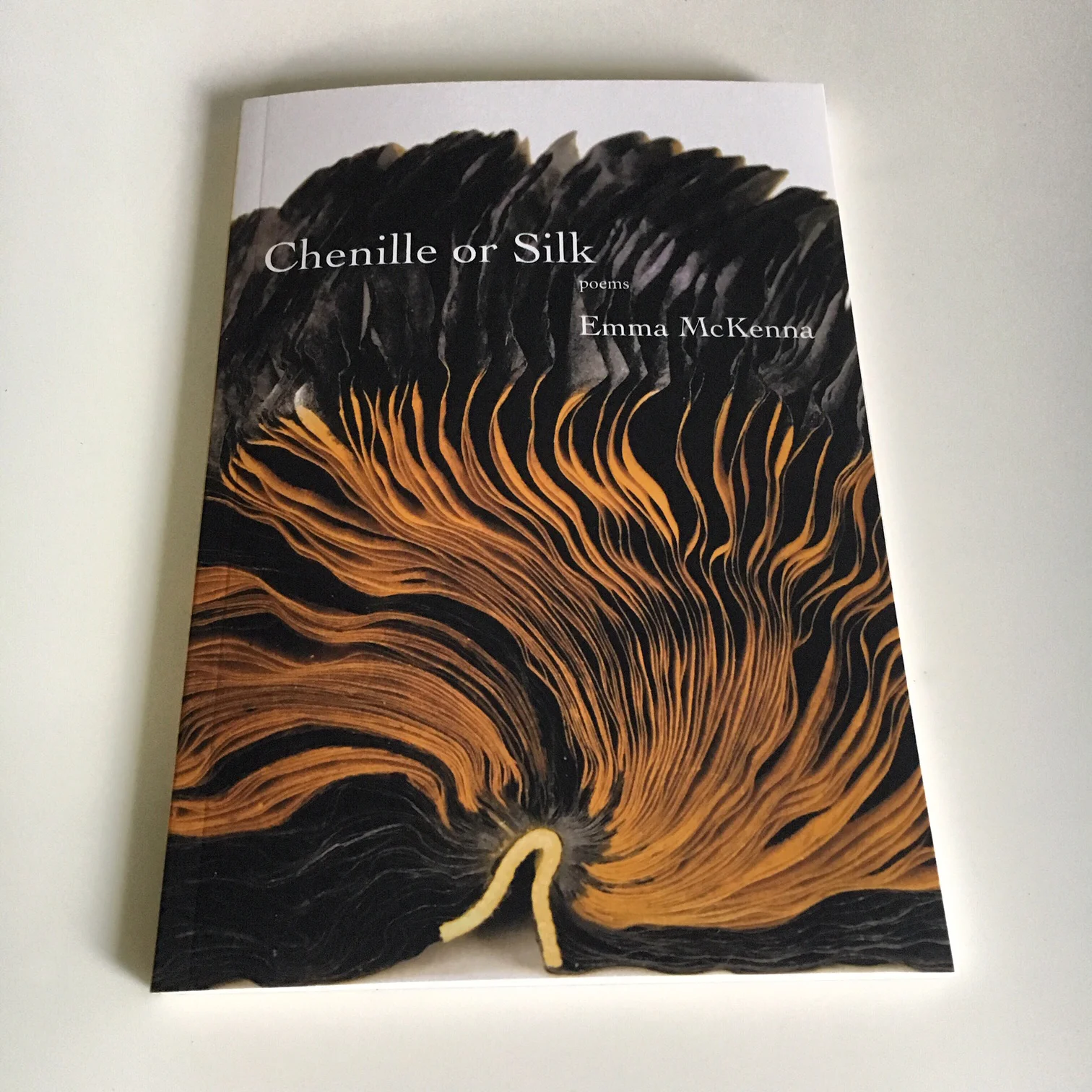 Hot off the Press. My Artwork on the Cover of Chenille or Silk
