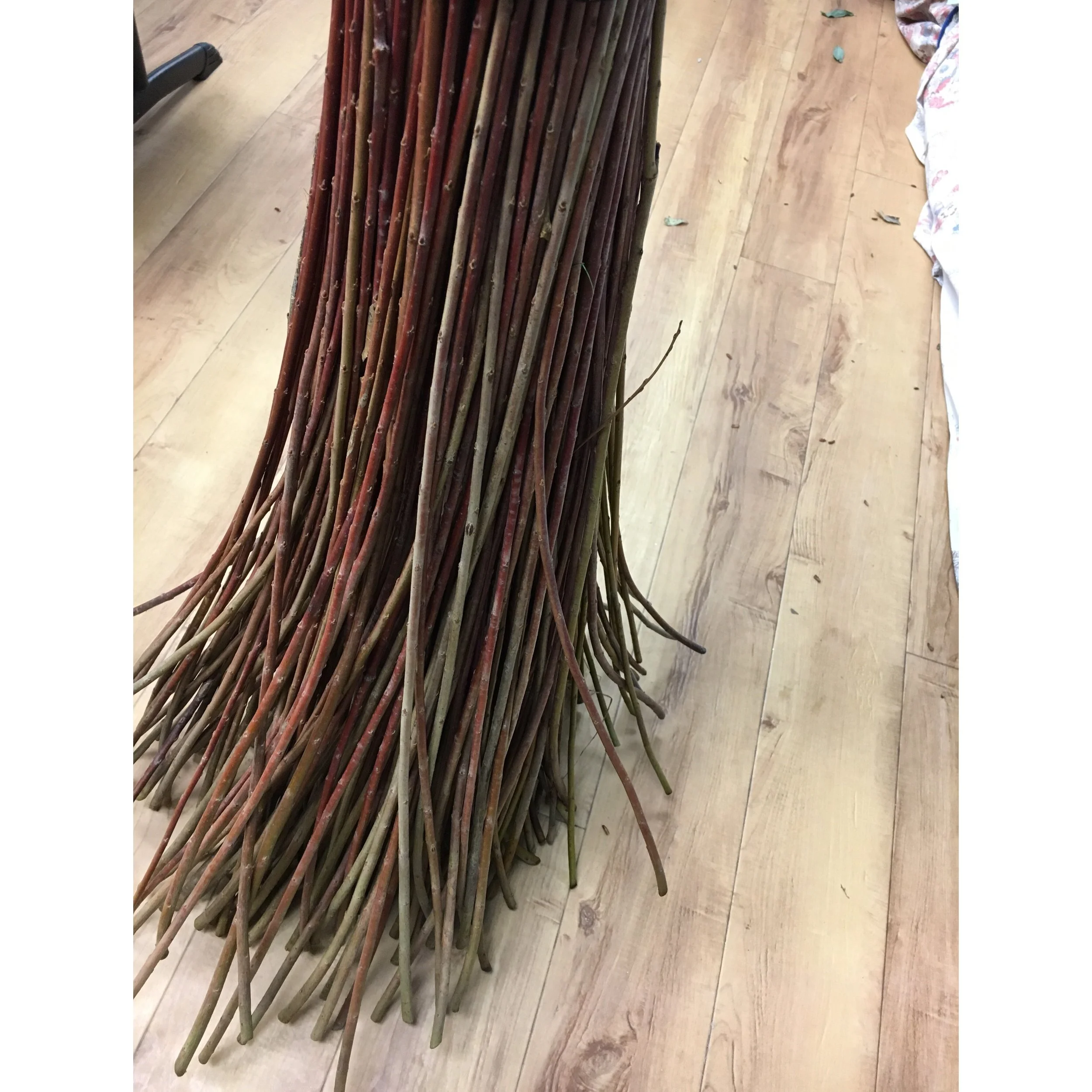 tempImageForSave (2).JPG