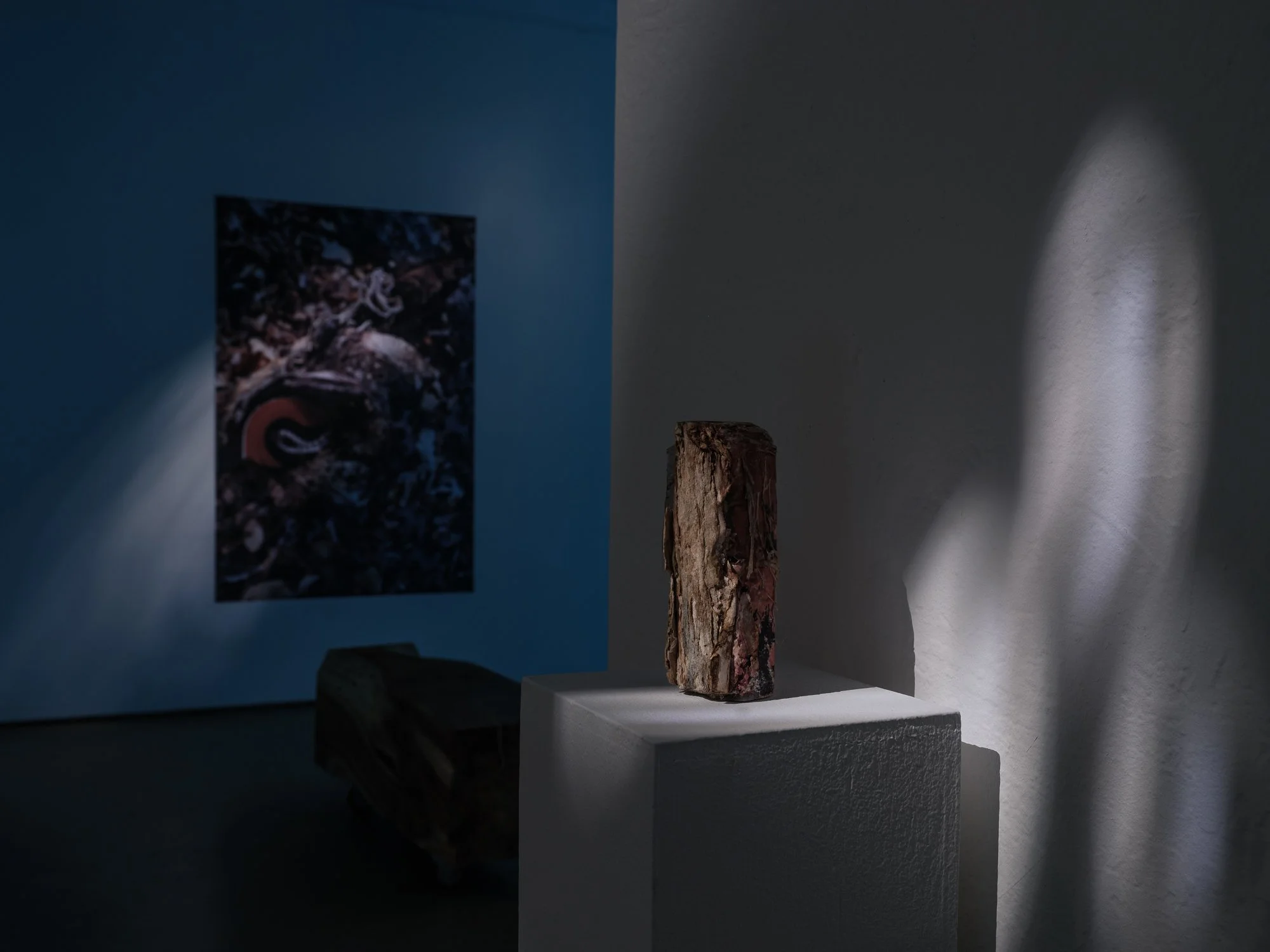 J.Rush Lee_exhibition__DSF5683.JPG