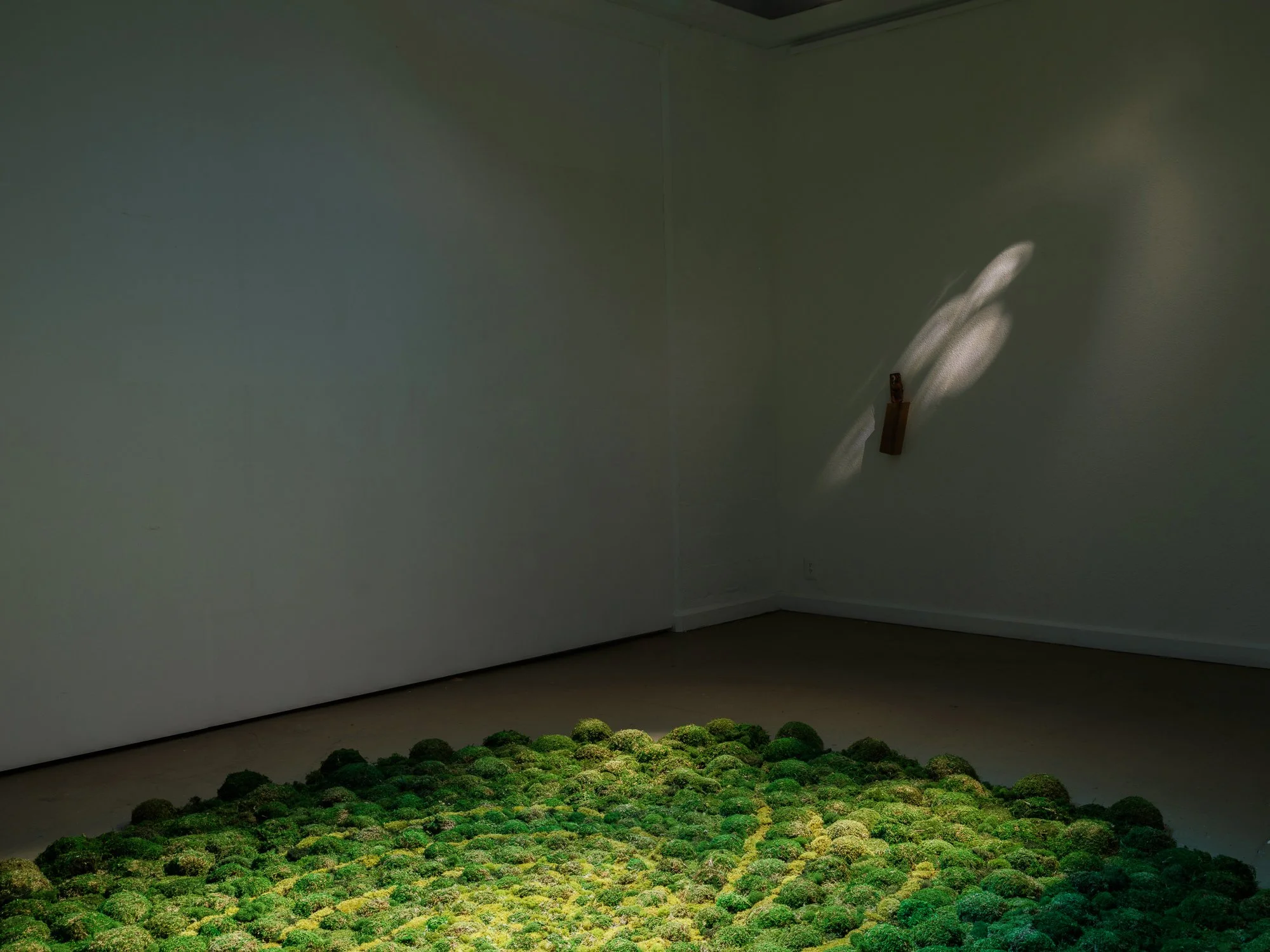 Moss Code. 12' x 12' Preserved Moss Mosaic 2024