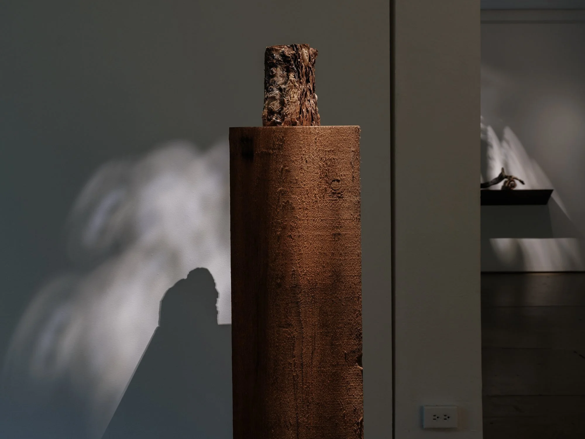  Transformed Whorl Book Sculpture with "Embrace" [transformed book sculpture with tree limb] in background 