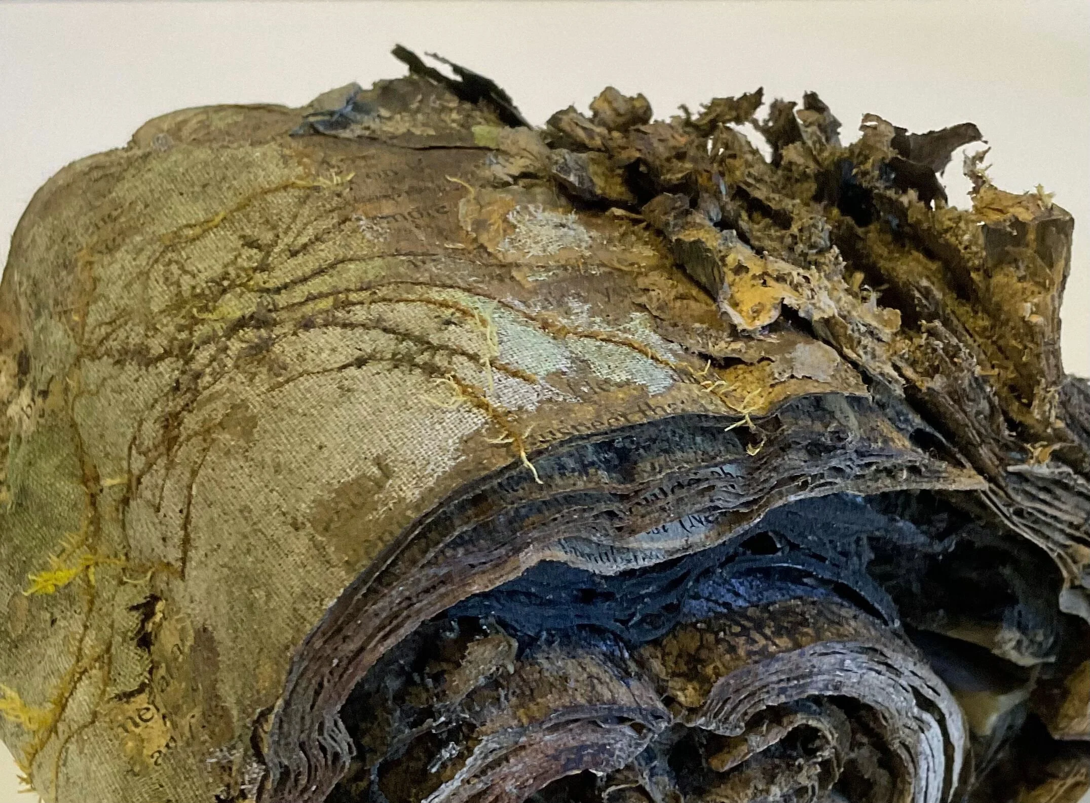 Embrace Detail. From "Whorl" 2024